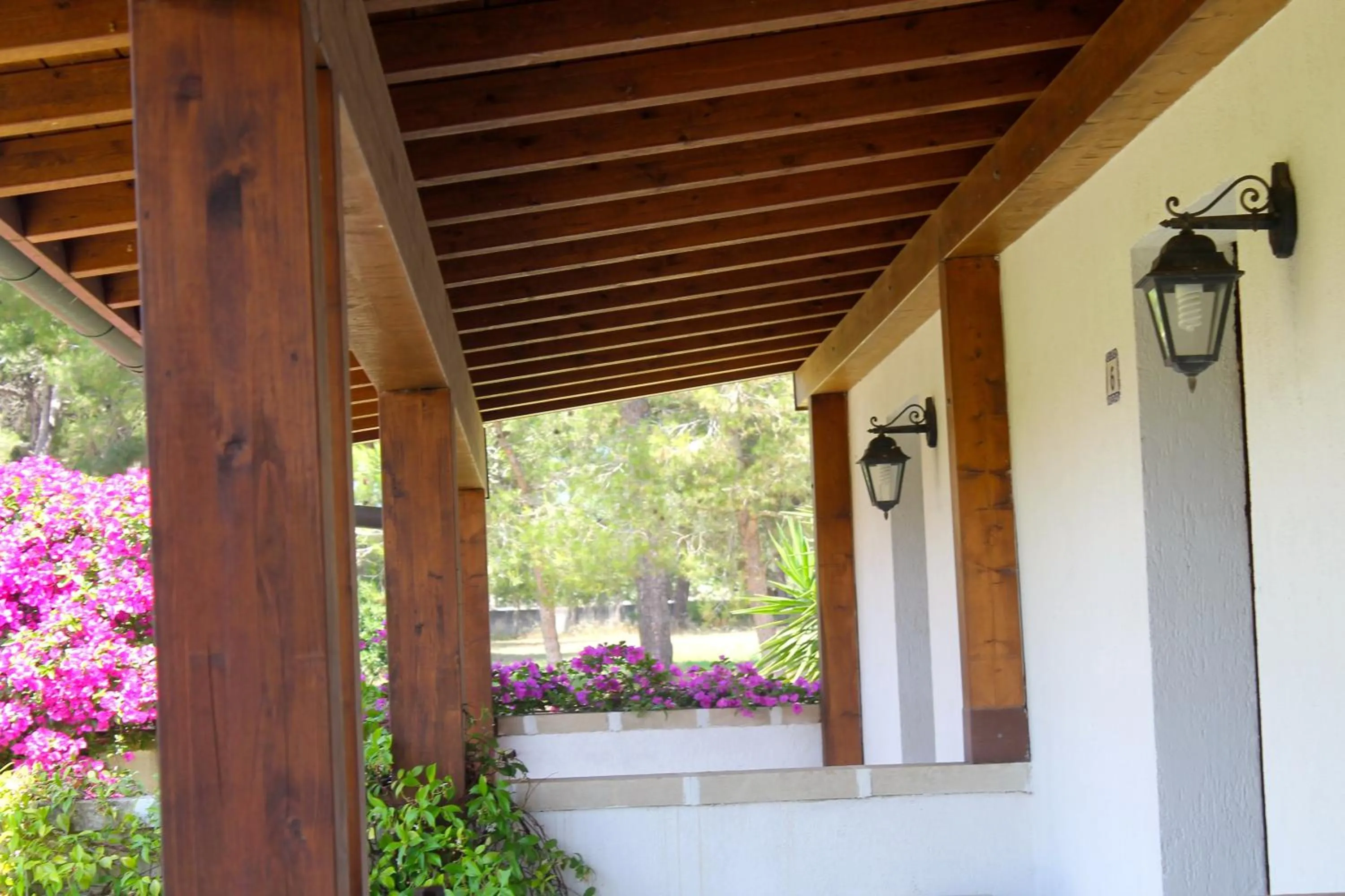 Day in Masseria Fabrizio