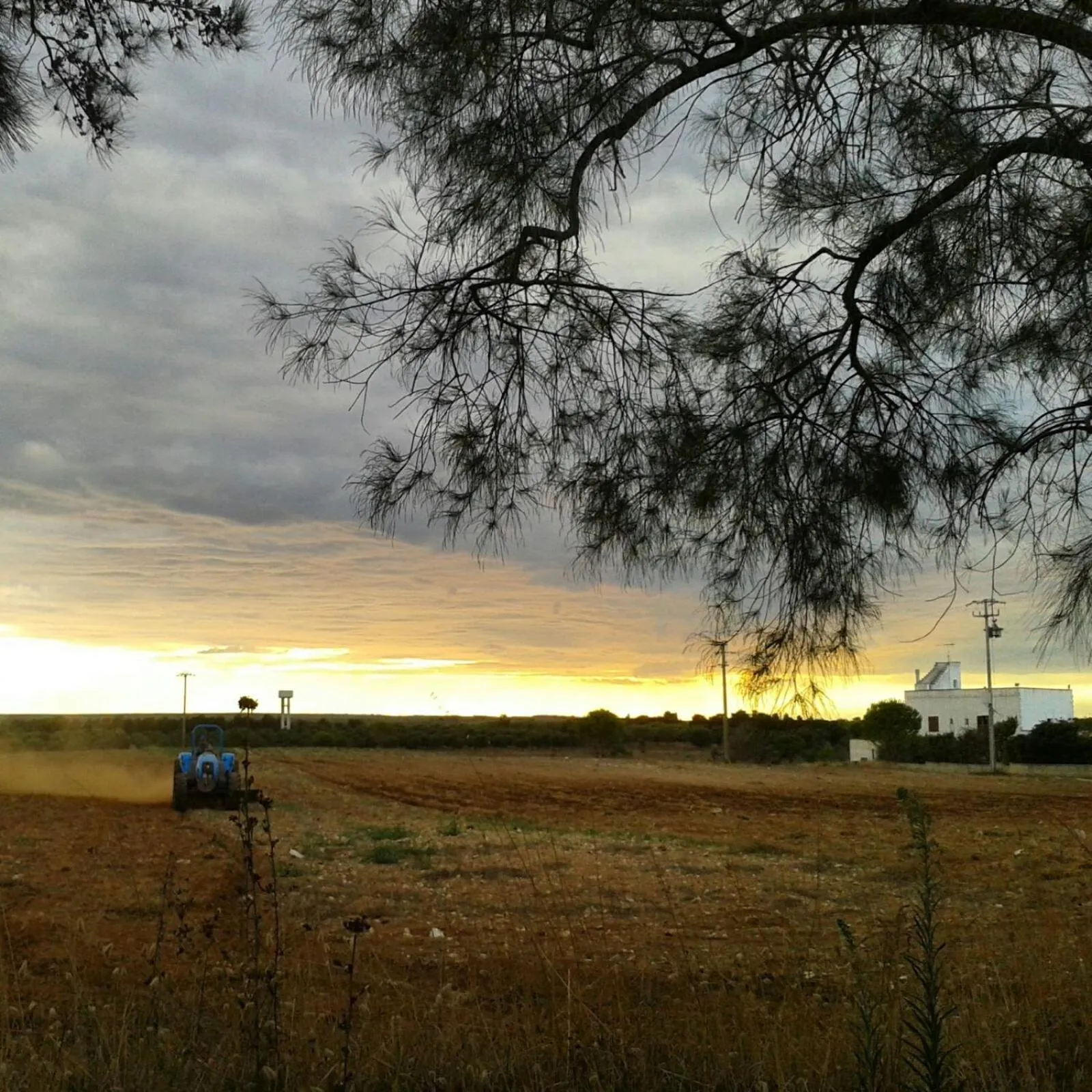 Other in Masseria Fabrizio