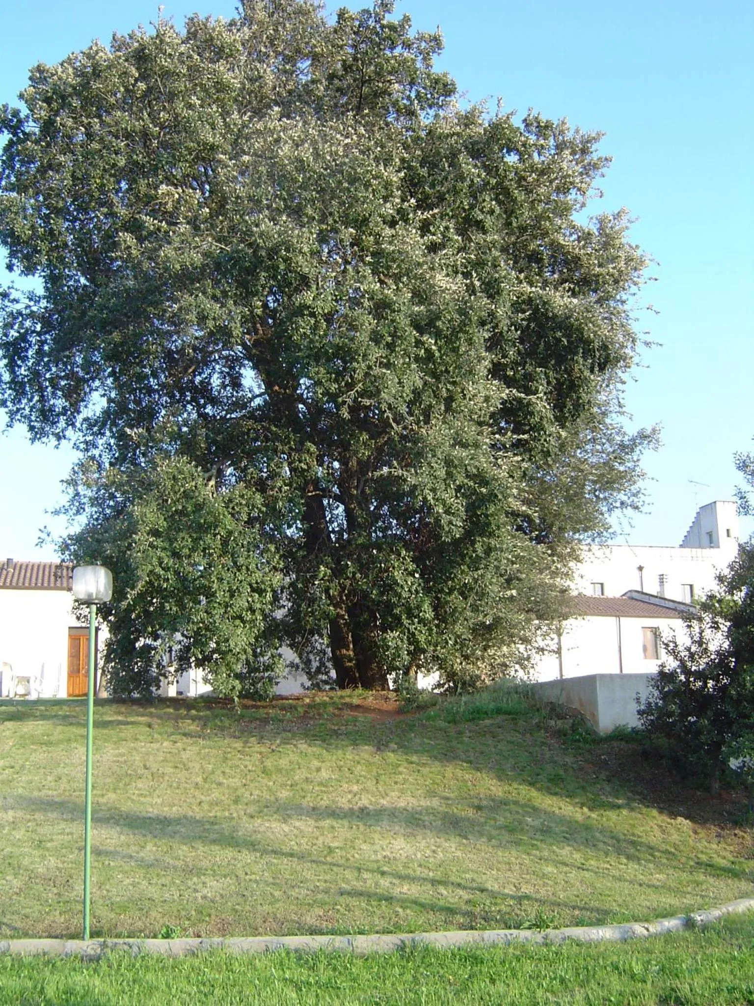 Day in Masseria Fabrizio