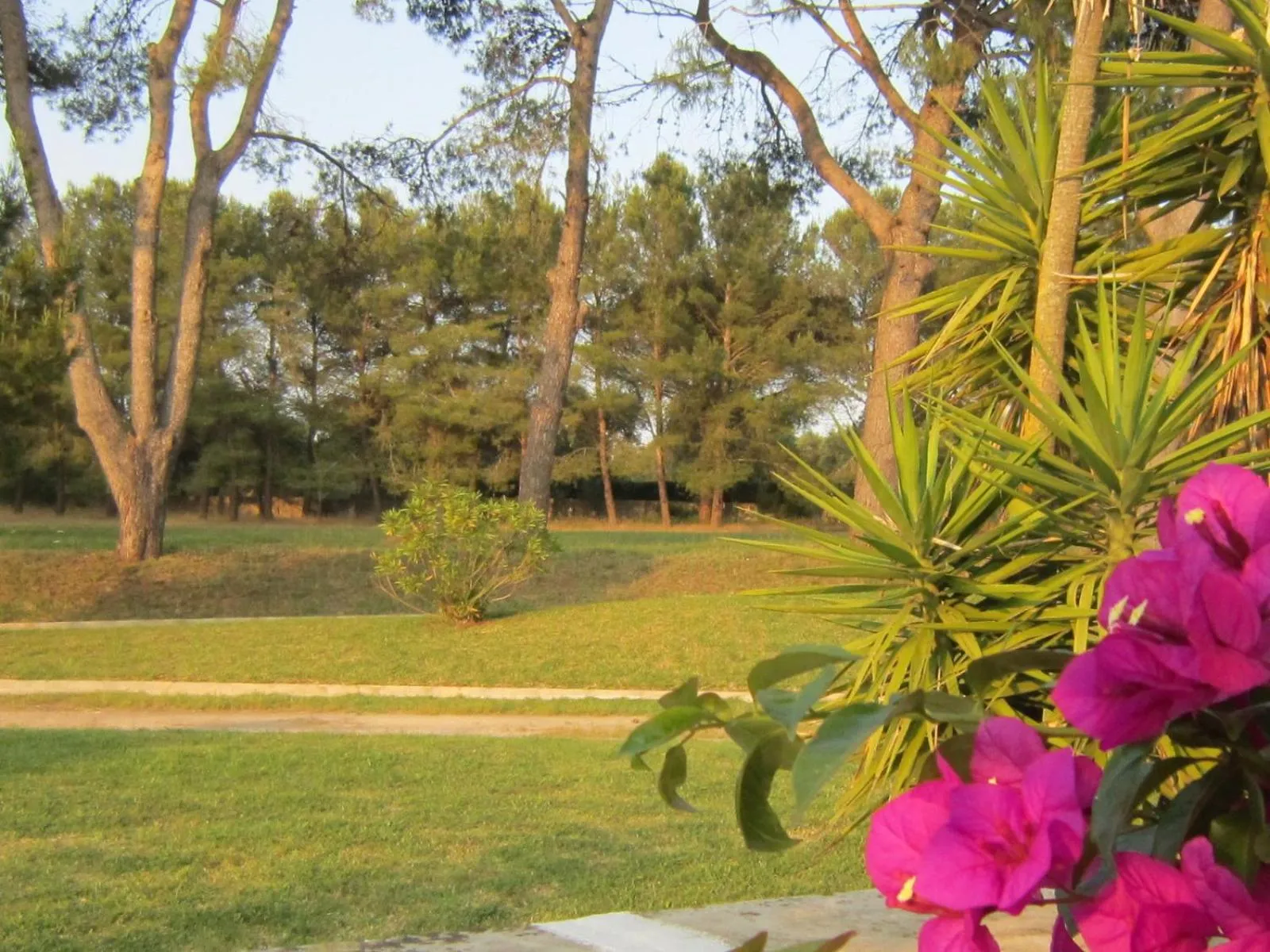 Day in Masseria Fabrizio