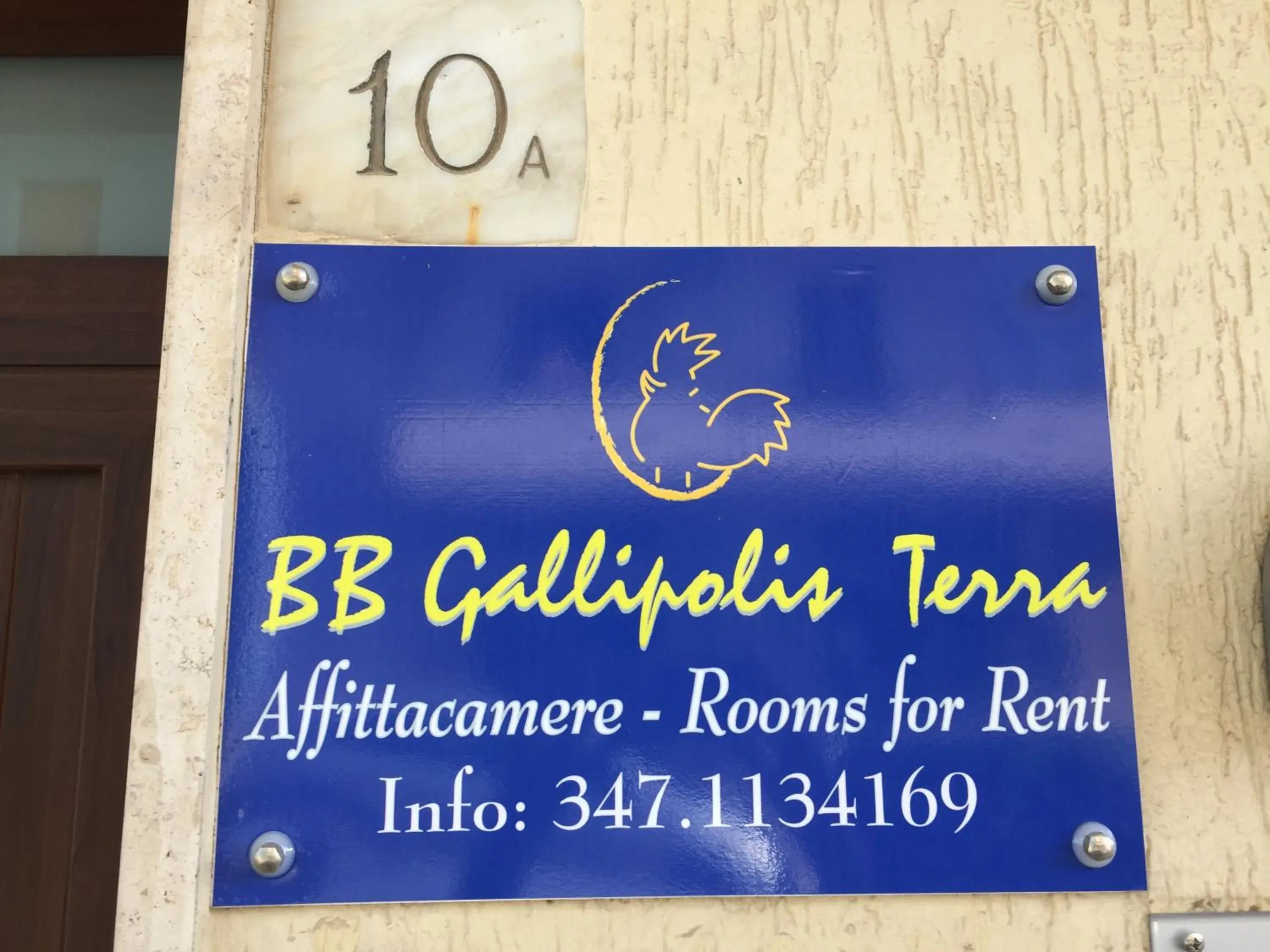 BB Gallipolis Terra BB Gallipolis Terra