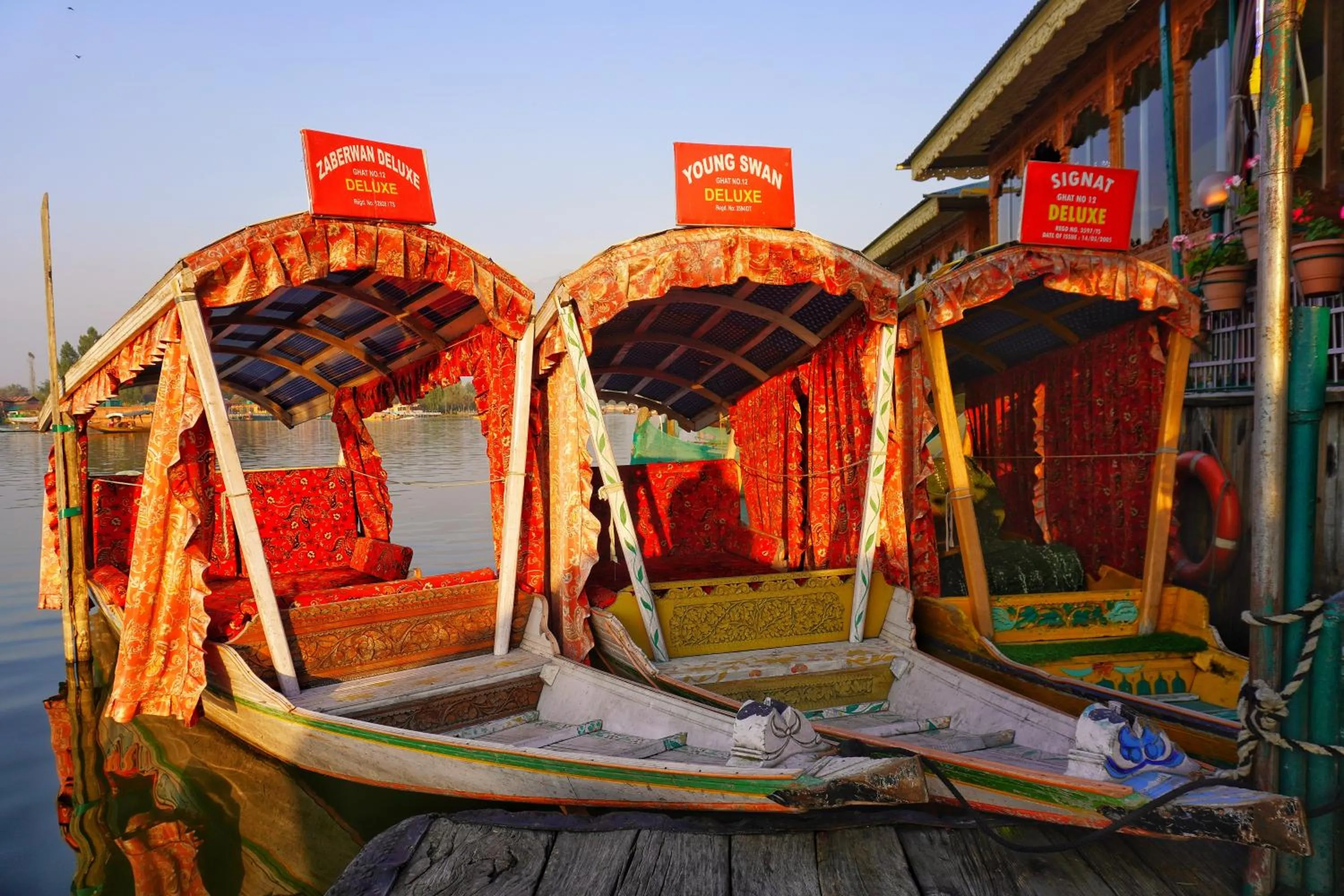 Activities in Swan Group of Houseboats, Golden Dal Lake