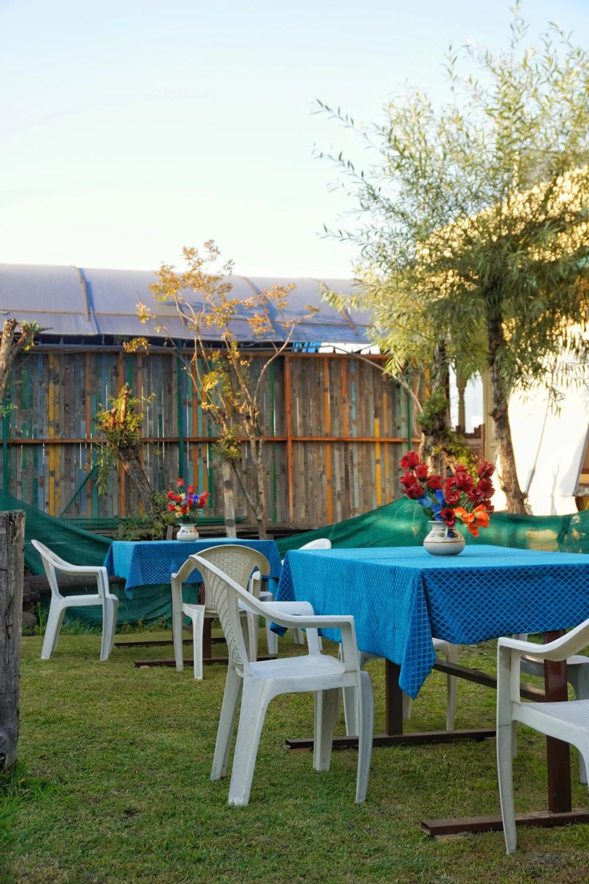 Garden in Swan Group of Houseboats, Golden Dal Lake