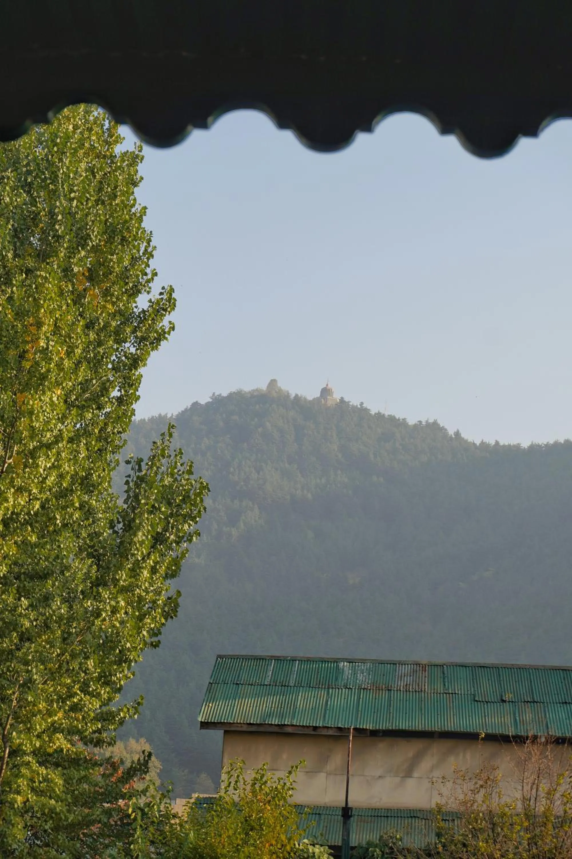 Natural landscape in Swan Group of Houseboats, Golden Dal Lake