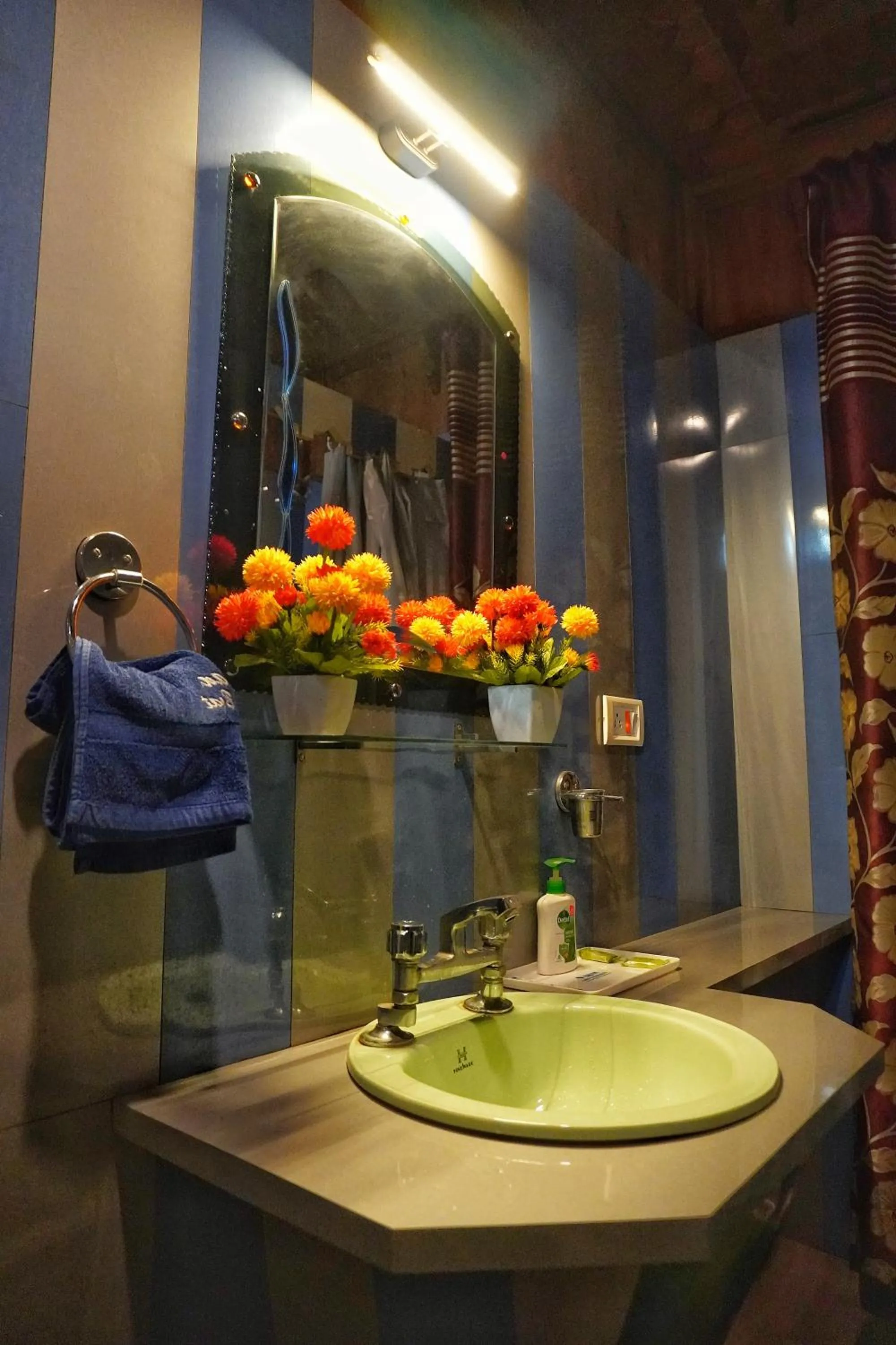 Bathroom in Swan Group of Houseboats, Golden Dal Lake