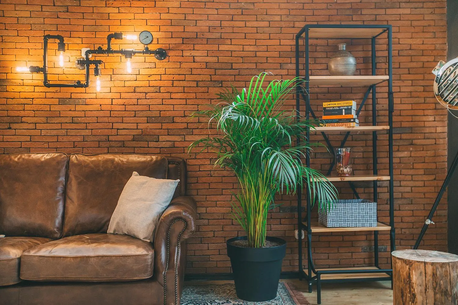 Lobby or reception in Timber Boutique Hotel