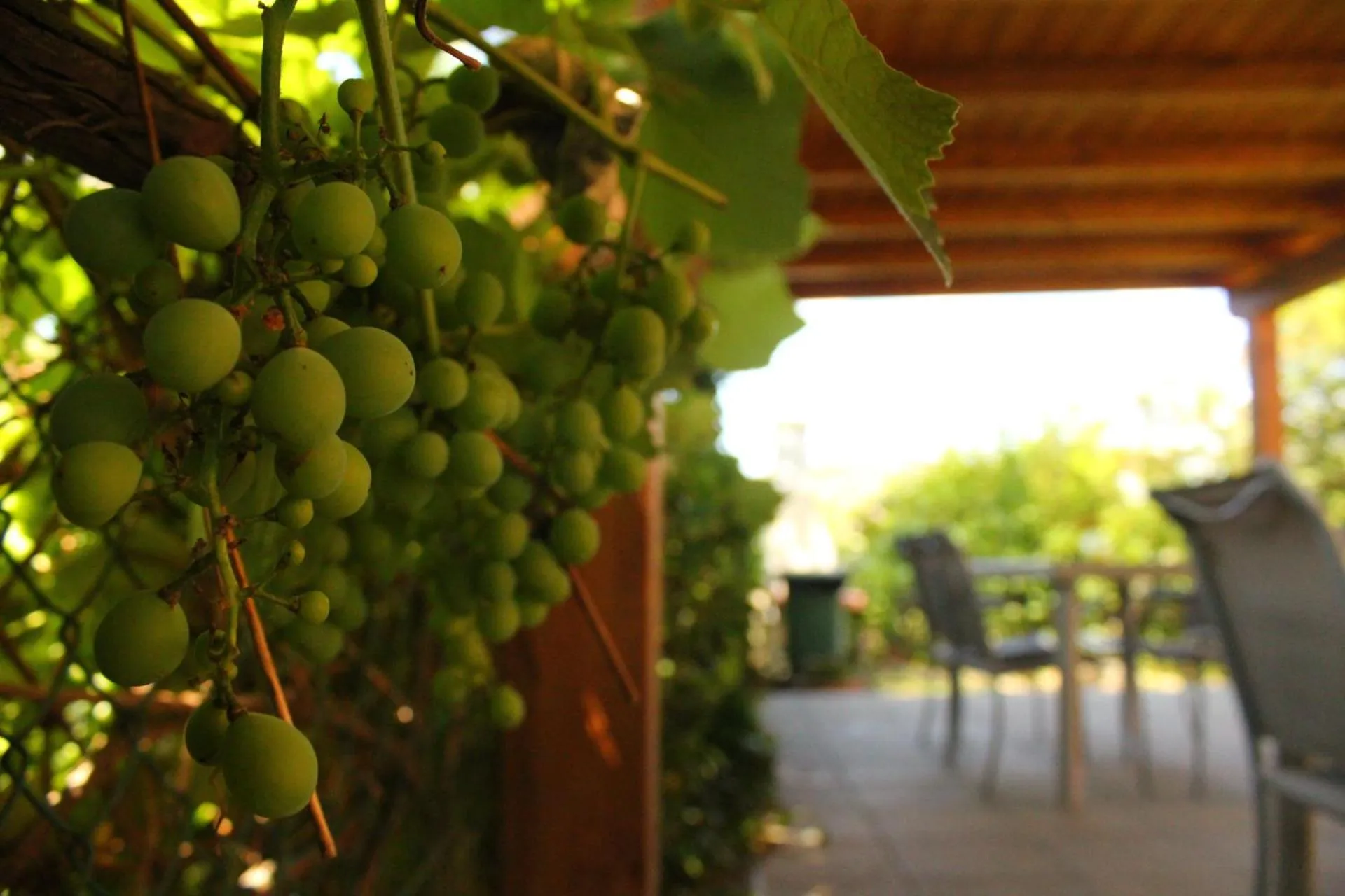Patio in Il Casolare