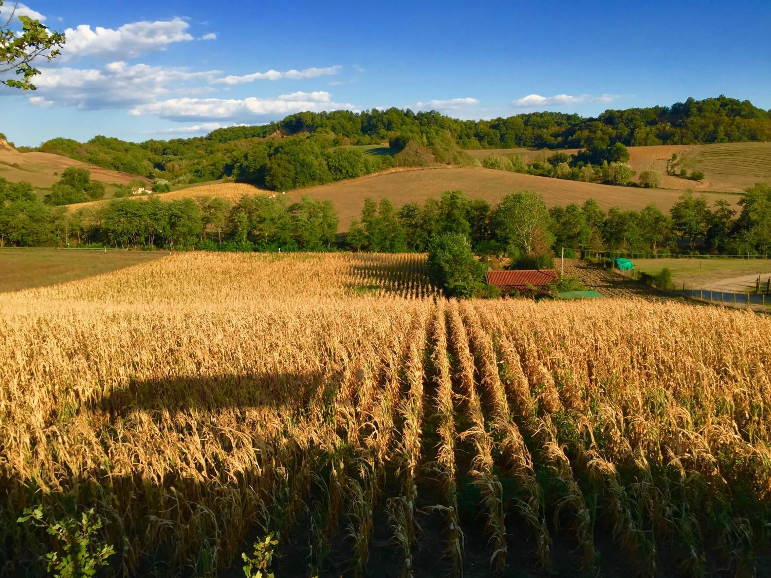 Natural landscape in Il Casolare