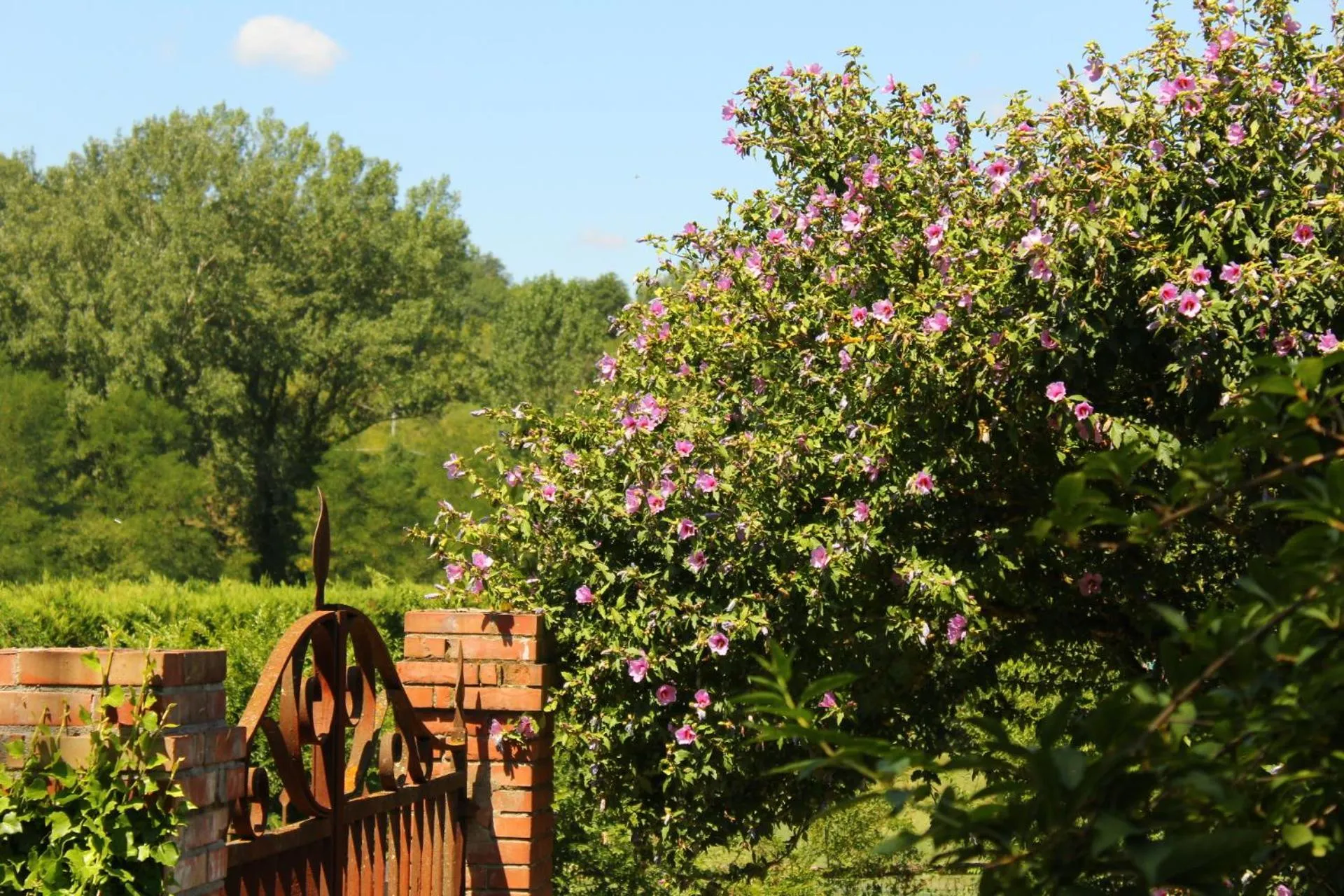 Facade/entrance in Il Casolare