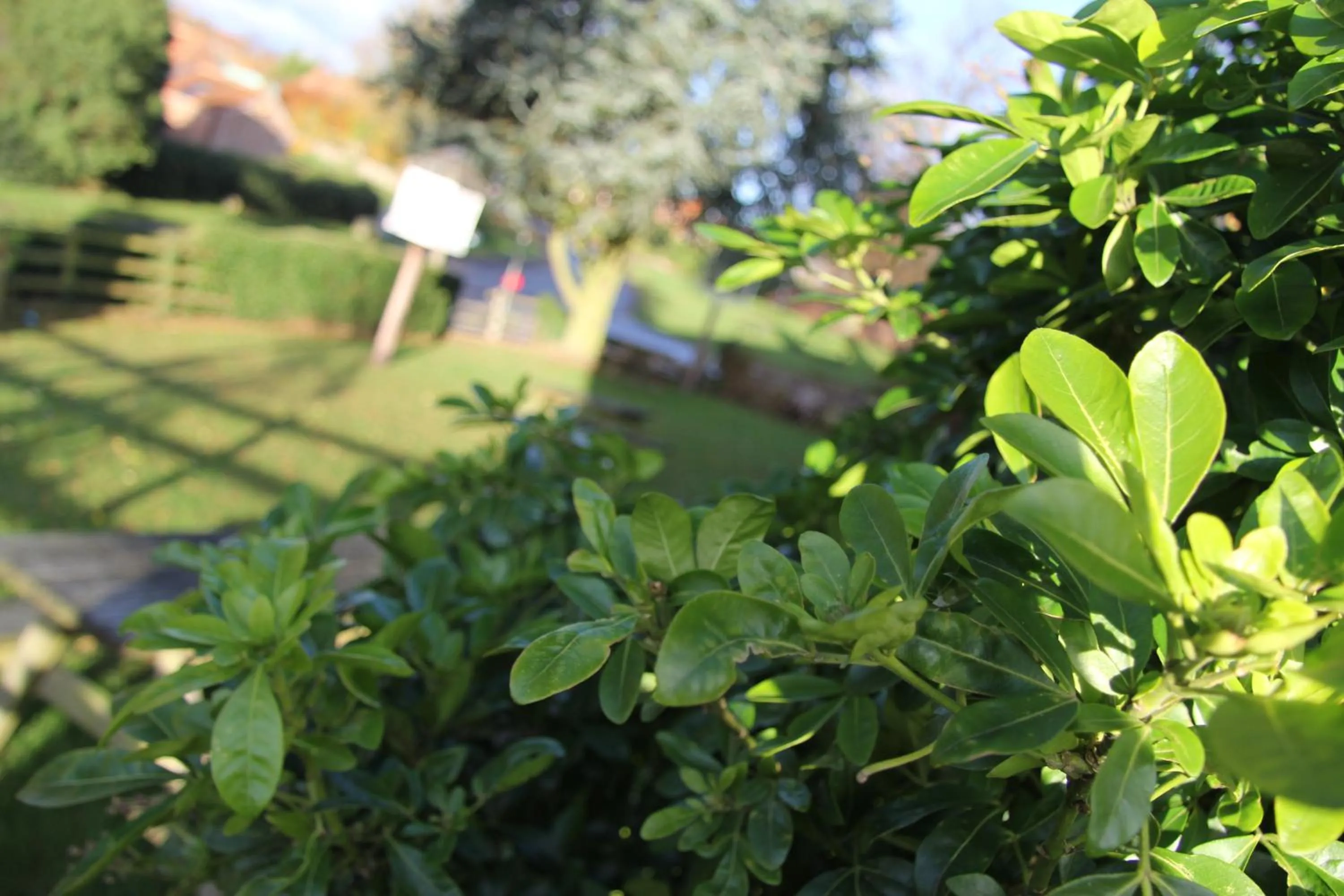 Property building in The Dovecote Inn