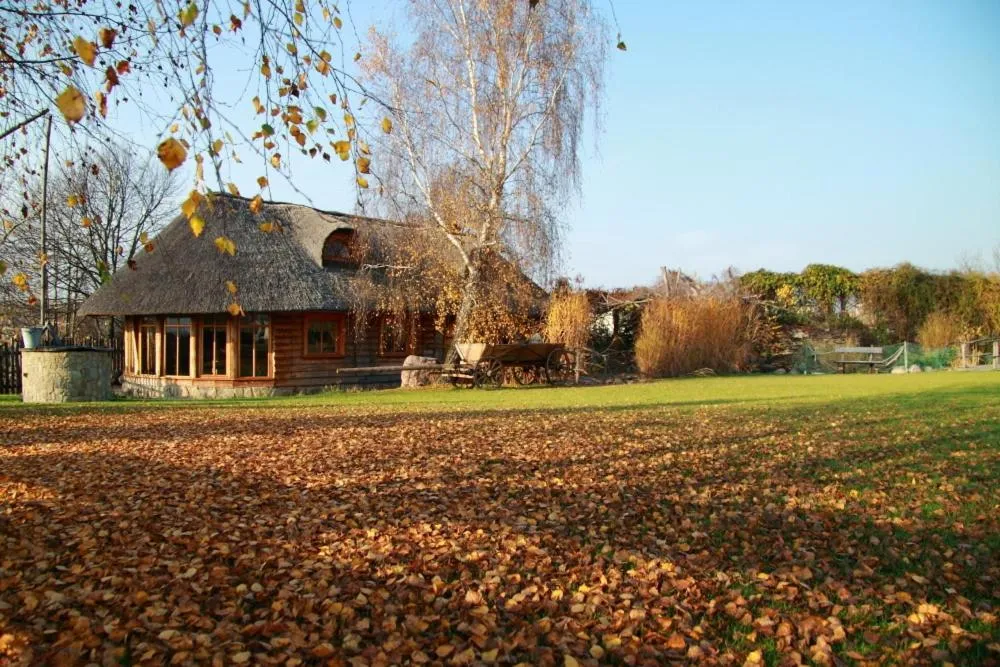 Natural landscape in Hotel Jaśmin