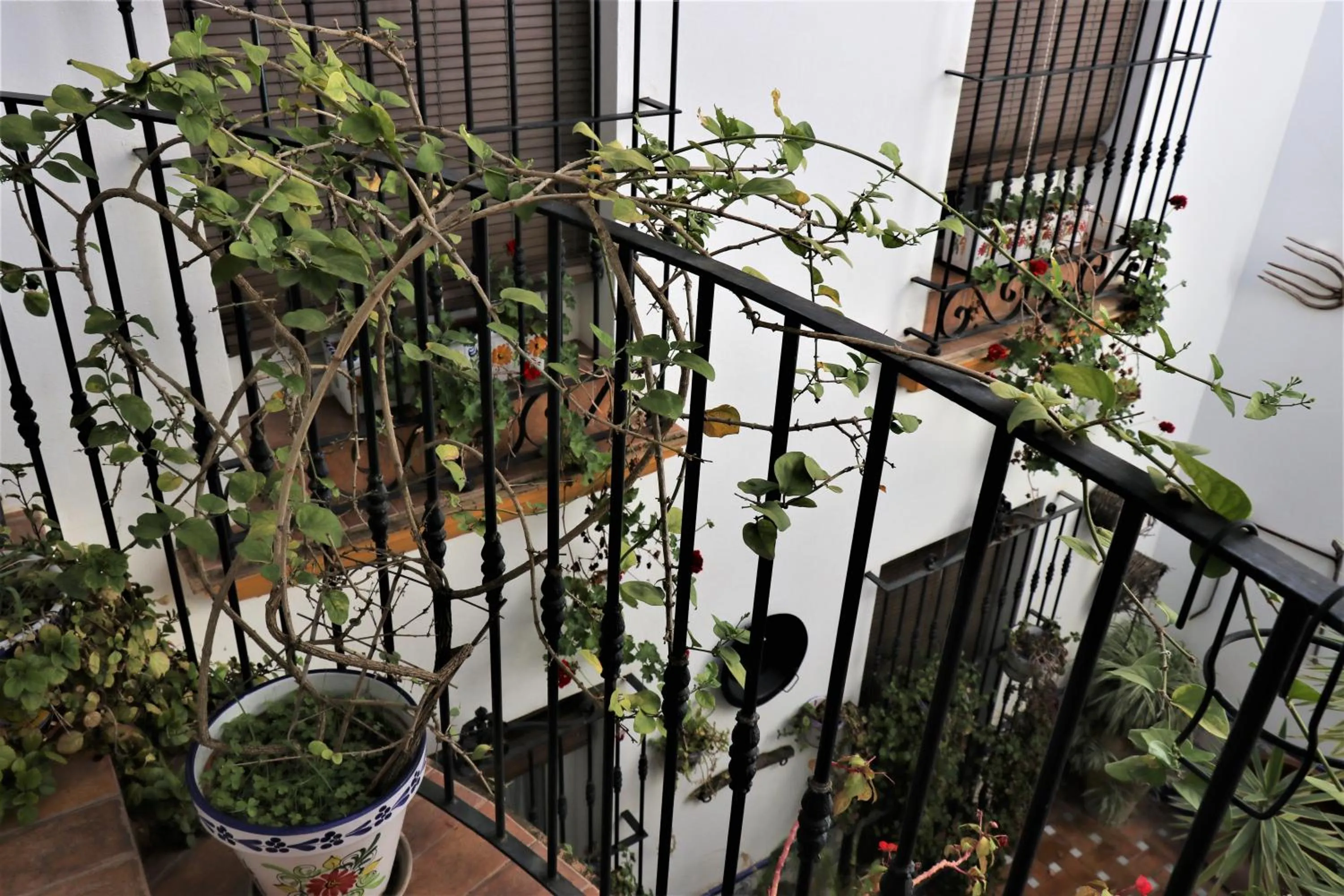 Hostal Ciudad Trigueros