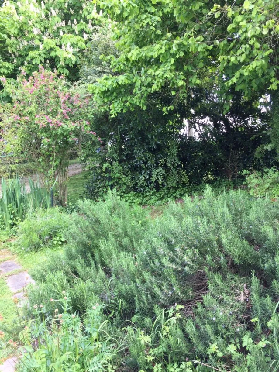 Garden in Campagn'Art