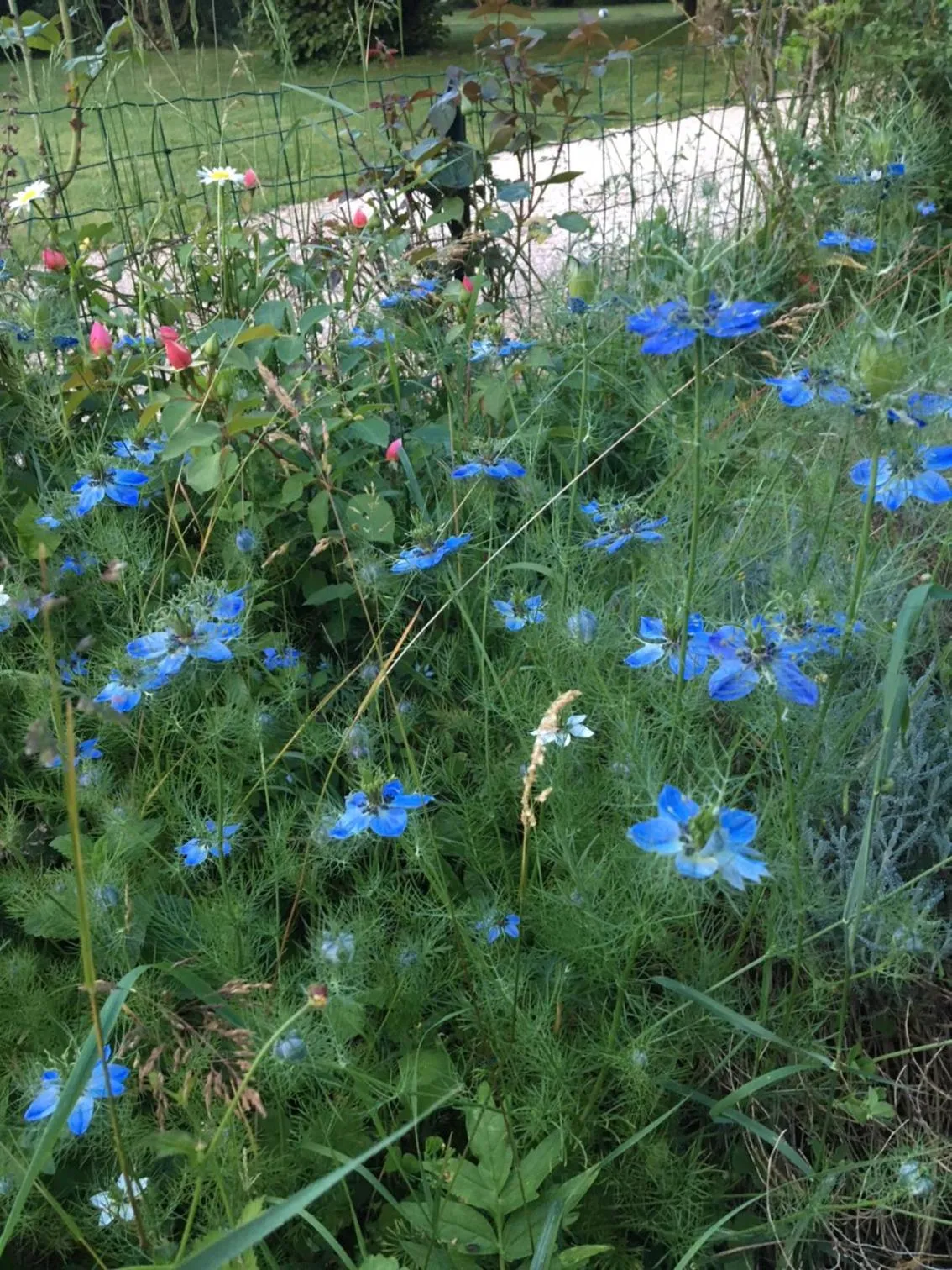 Property building in Campagn'Art