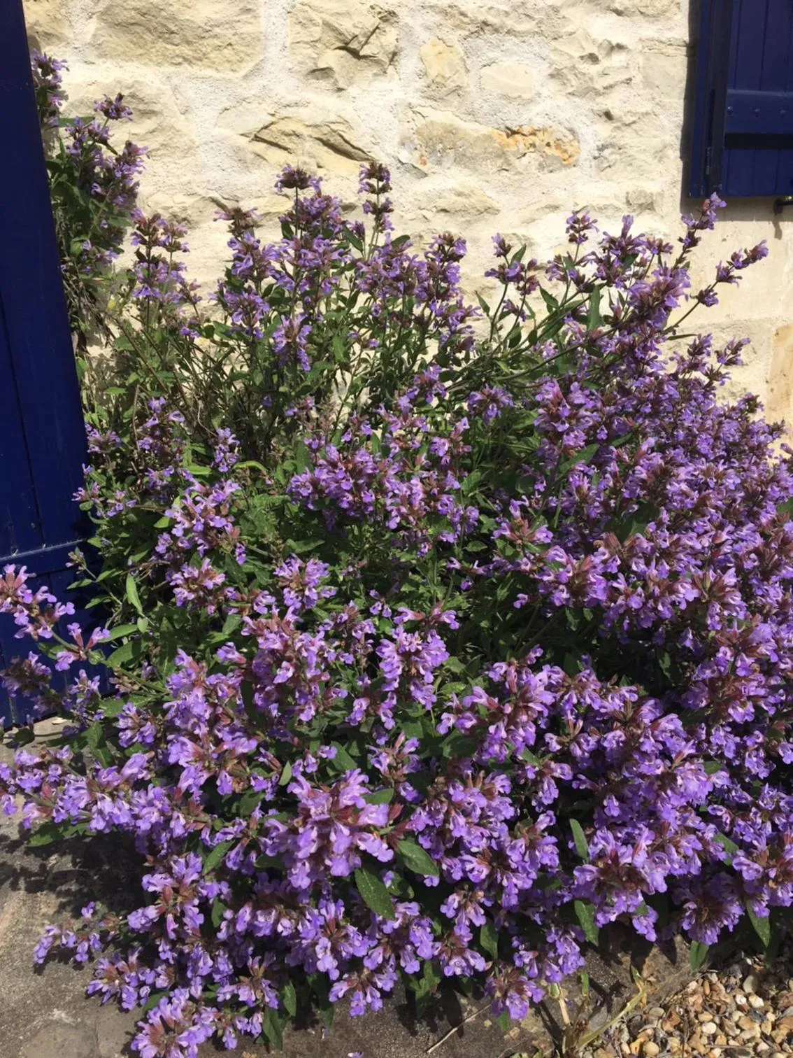 Property building in Campagn'Art