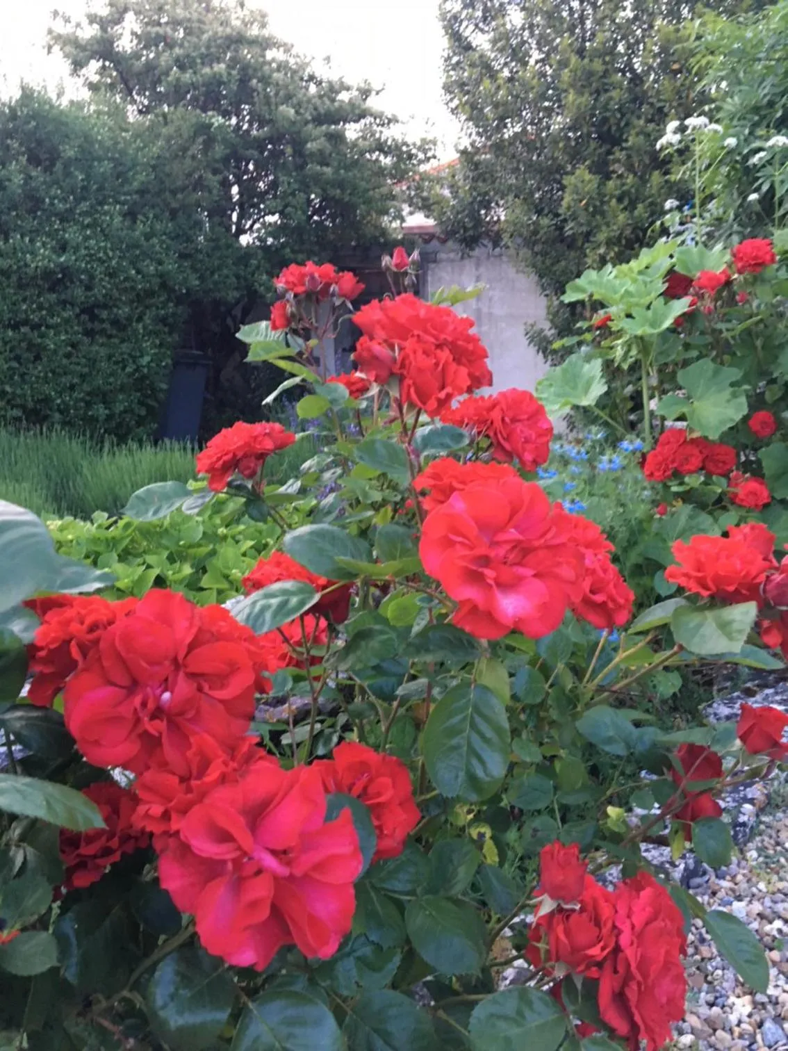 Property building in Campagn'Art