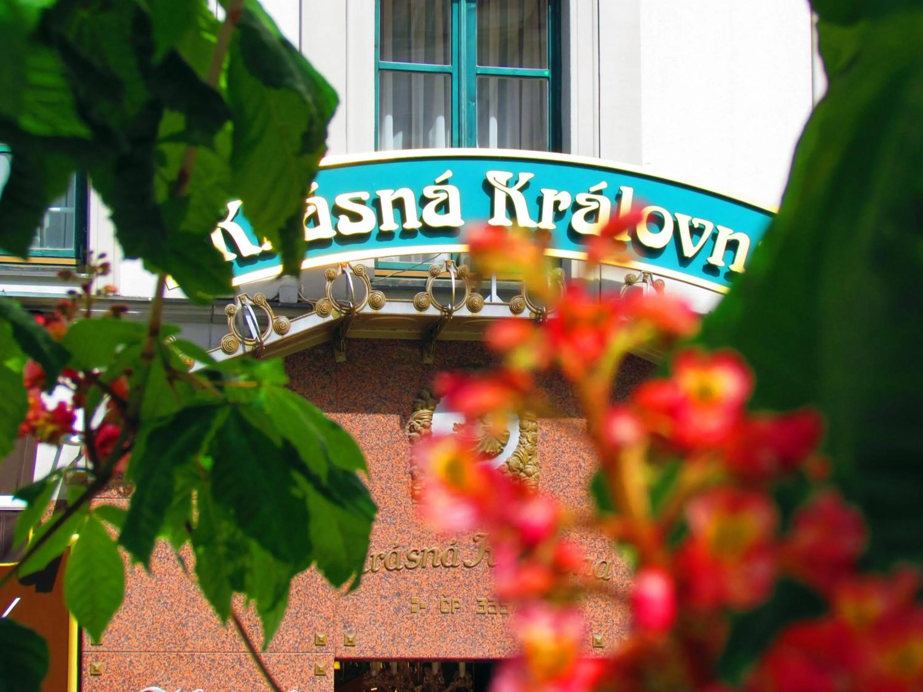 City view in Hotel Renesance Krasna Kralovna