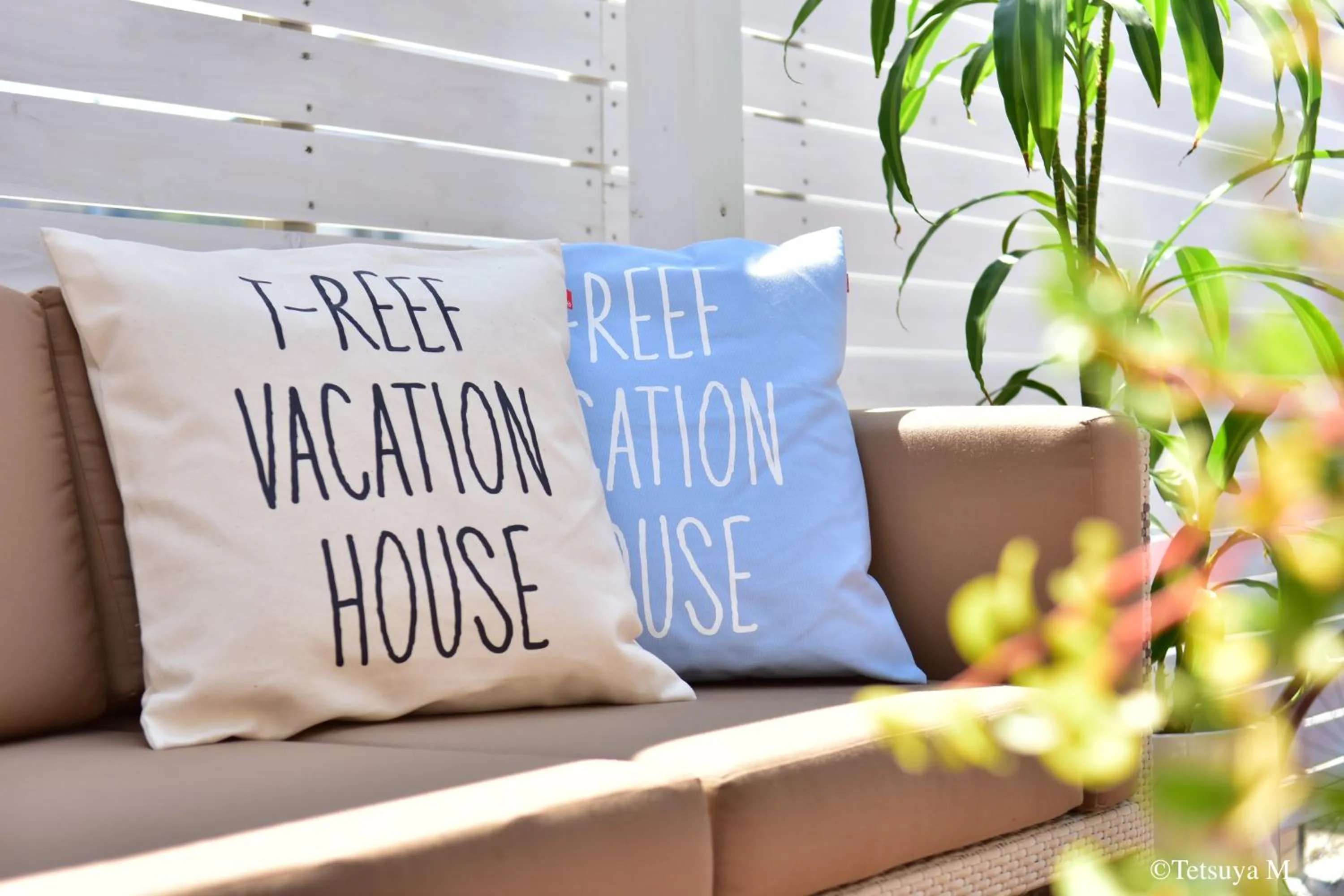 Garden in Blue Lagoon