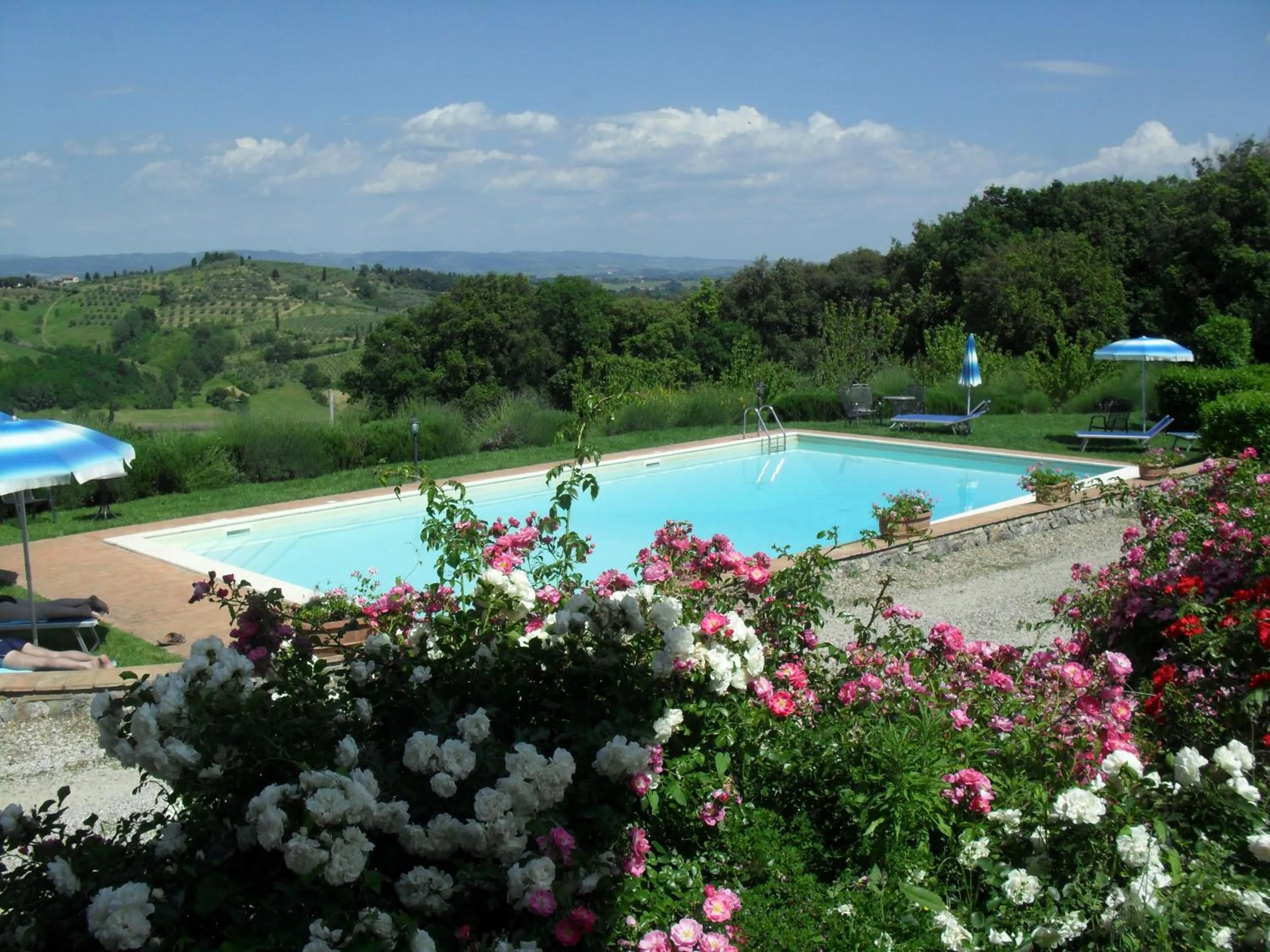 Swimming pool in Agriturismo Il Casolare Di Bucciano