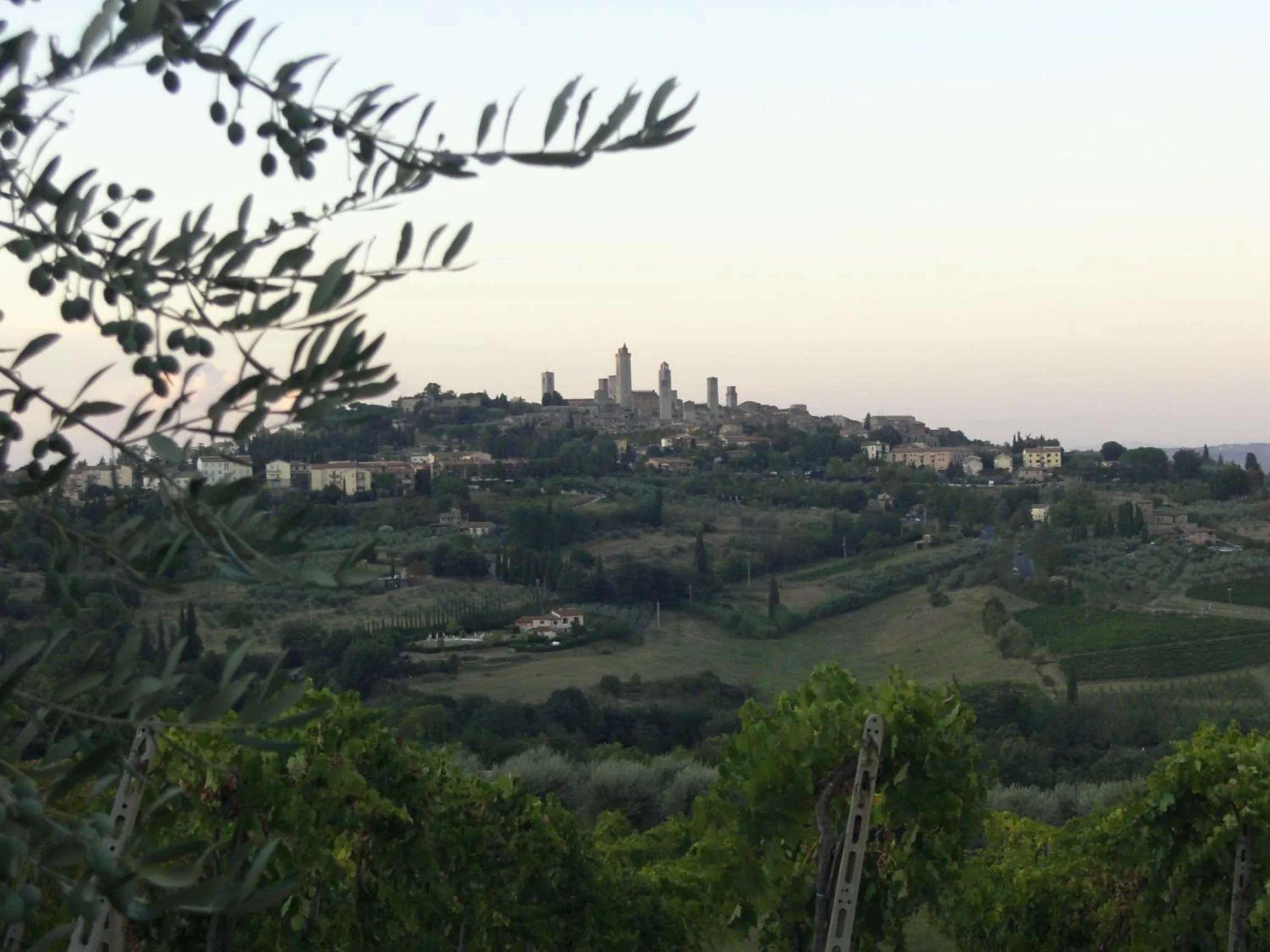 View (from property/room) in Agriturismo Il Casolare Di Bucciano