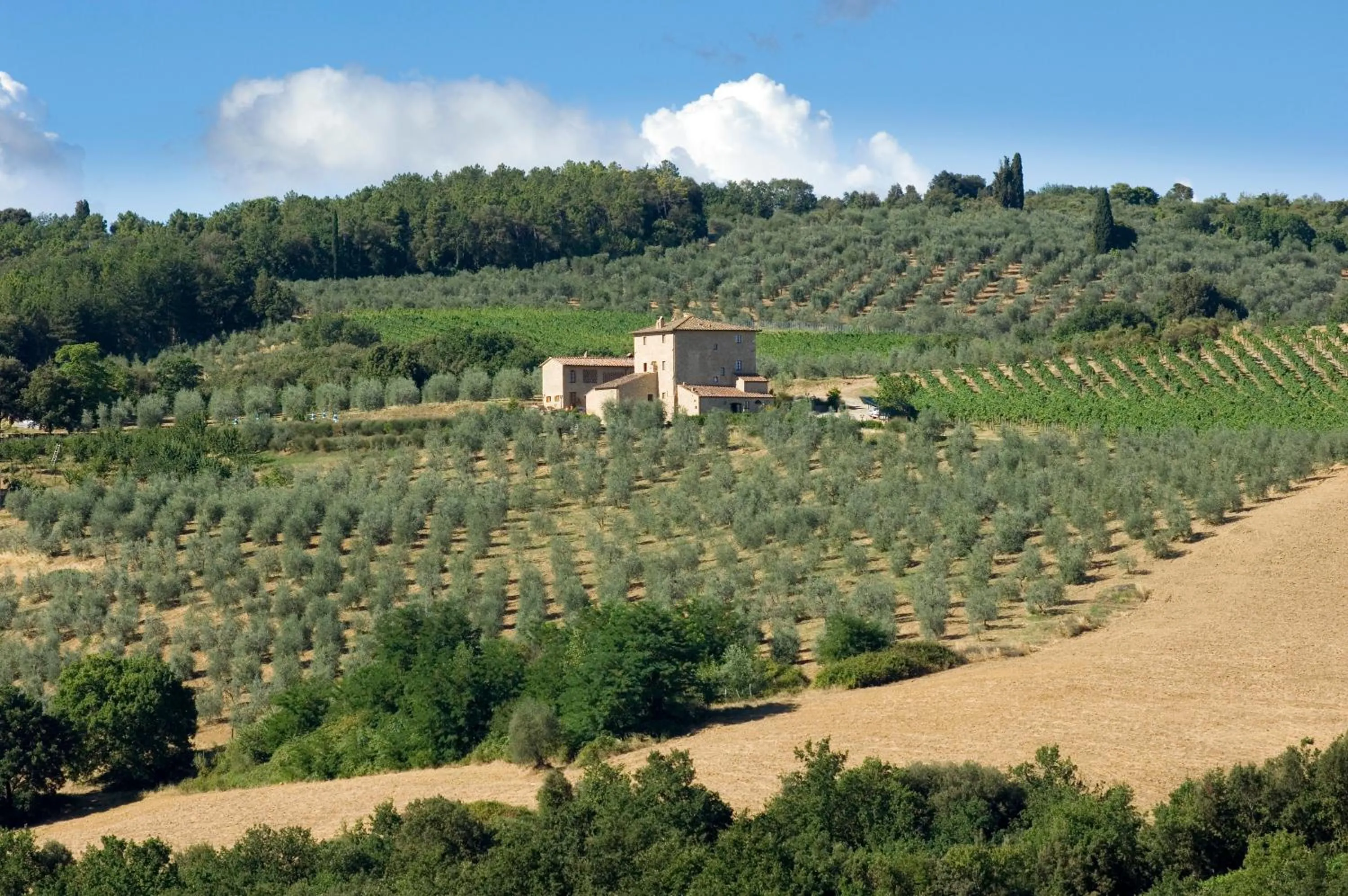Facade/entrance in Agriturismo Il Casolare Di Bucciano