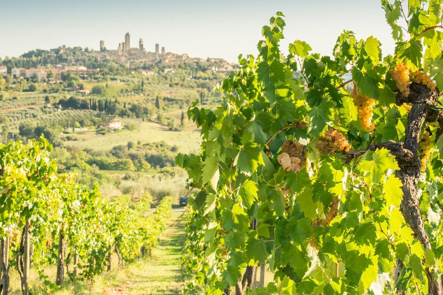 Agriturismo Il Casolare Di Bucciano