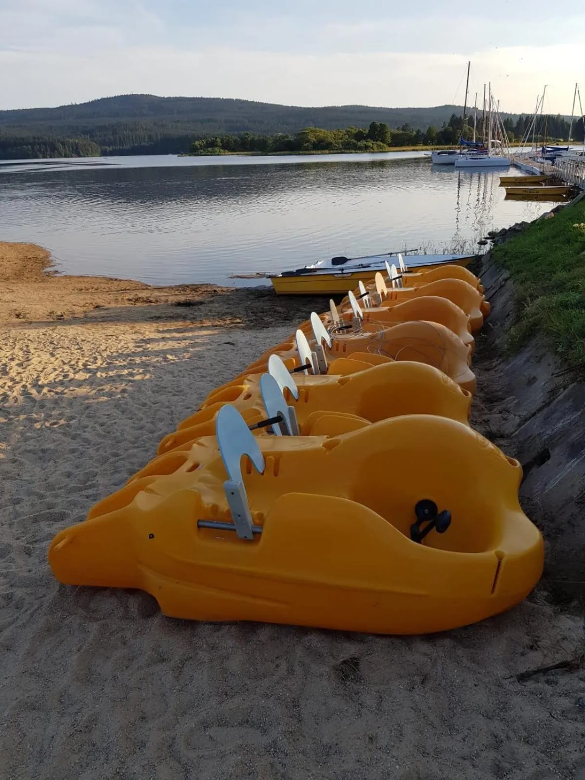 Beach in Fontána Lipno