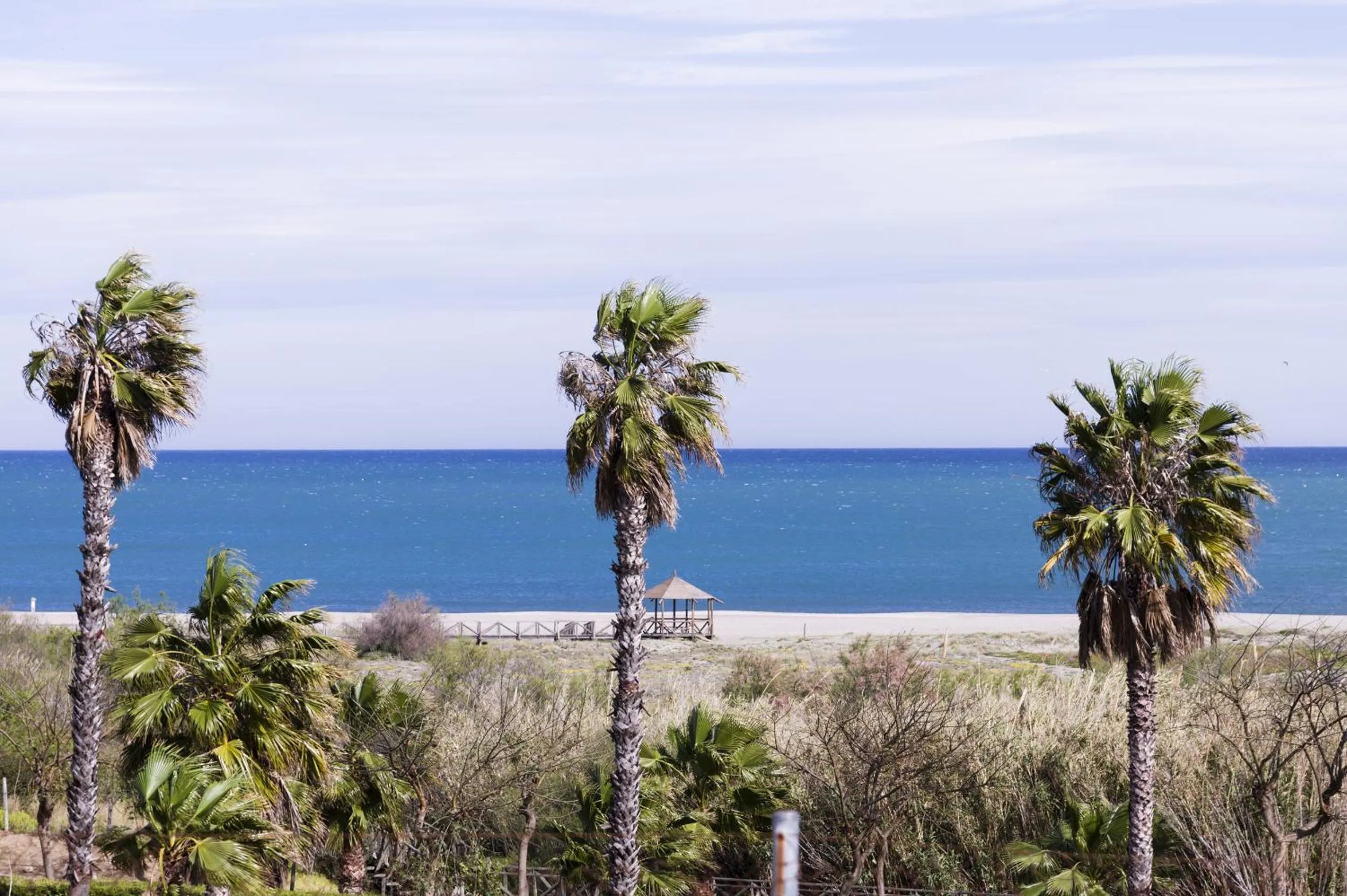 Beach in Hotel Las Camelias