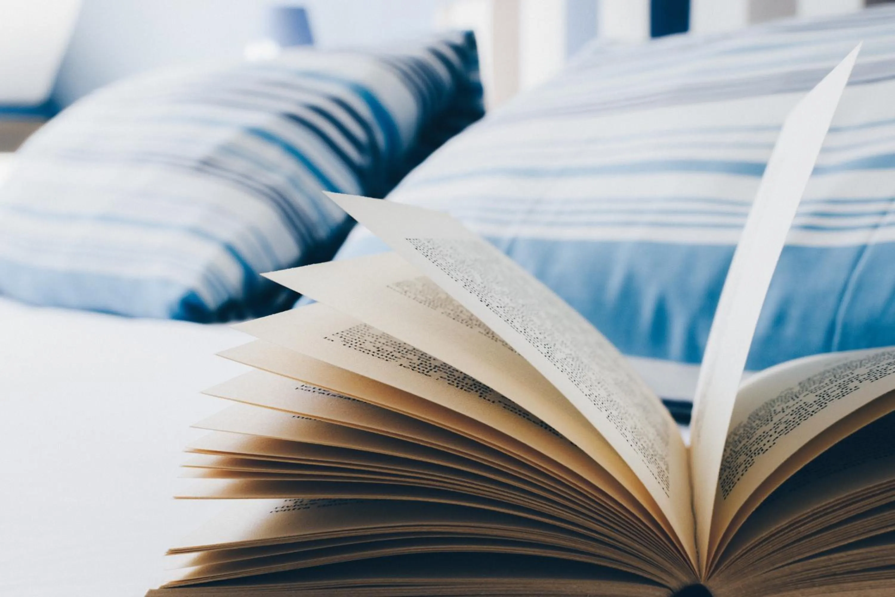 Decorative detail in Chambres d'hôtes Le Clos d'Enhaut