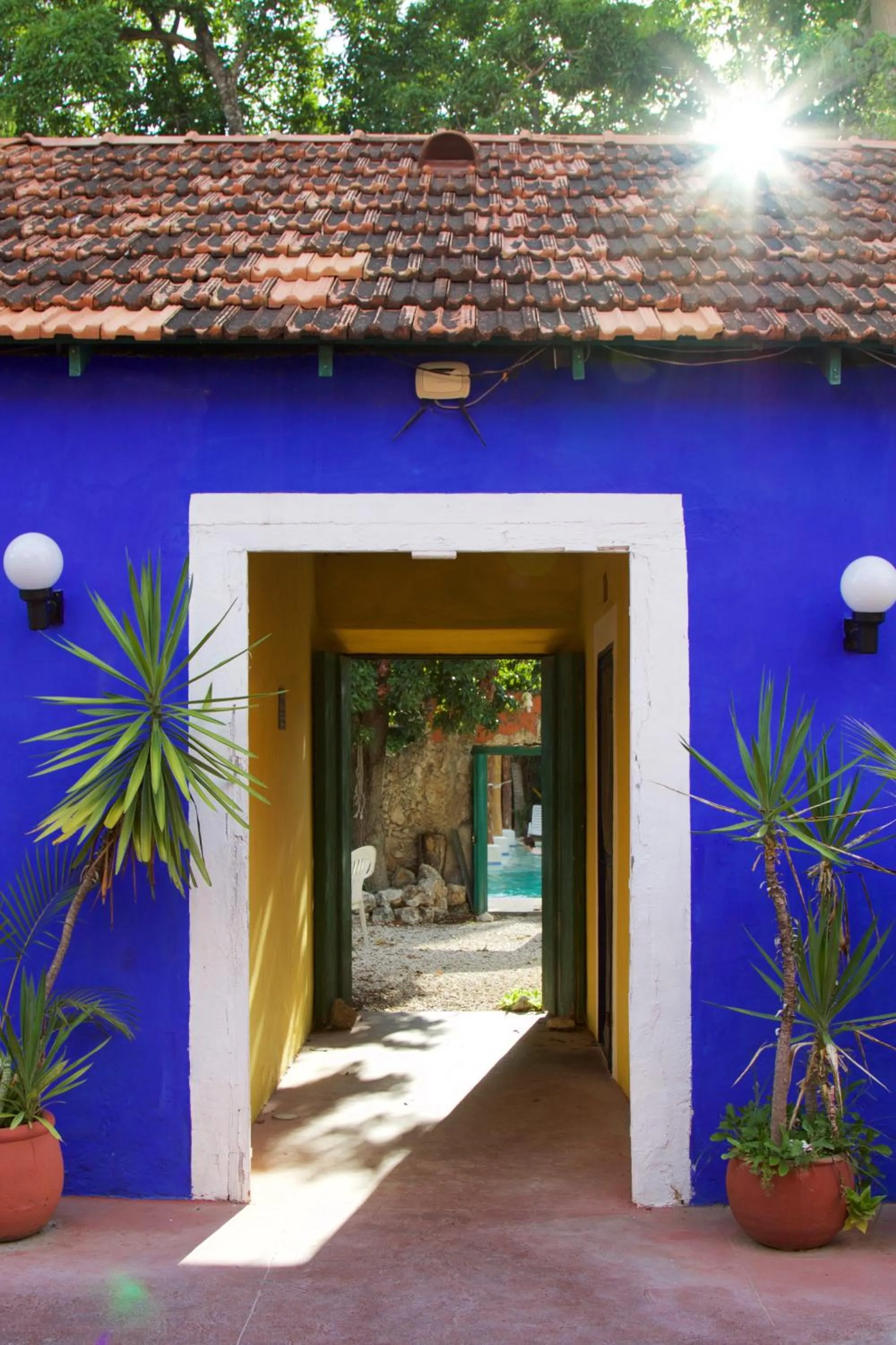 Day in Che Nomadas Mérida Hostel