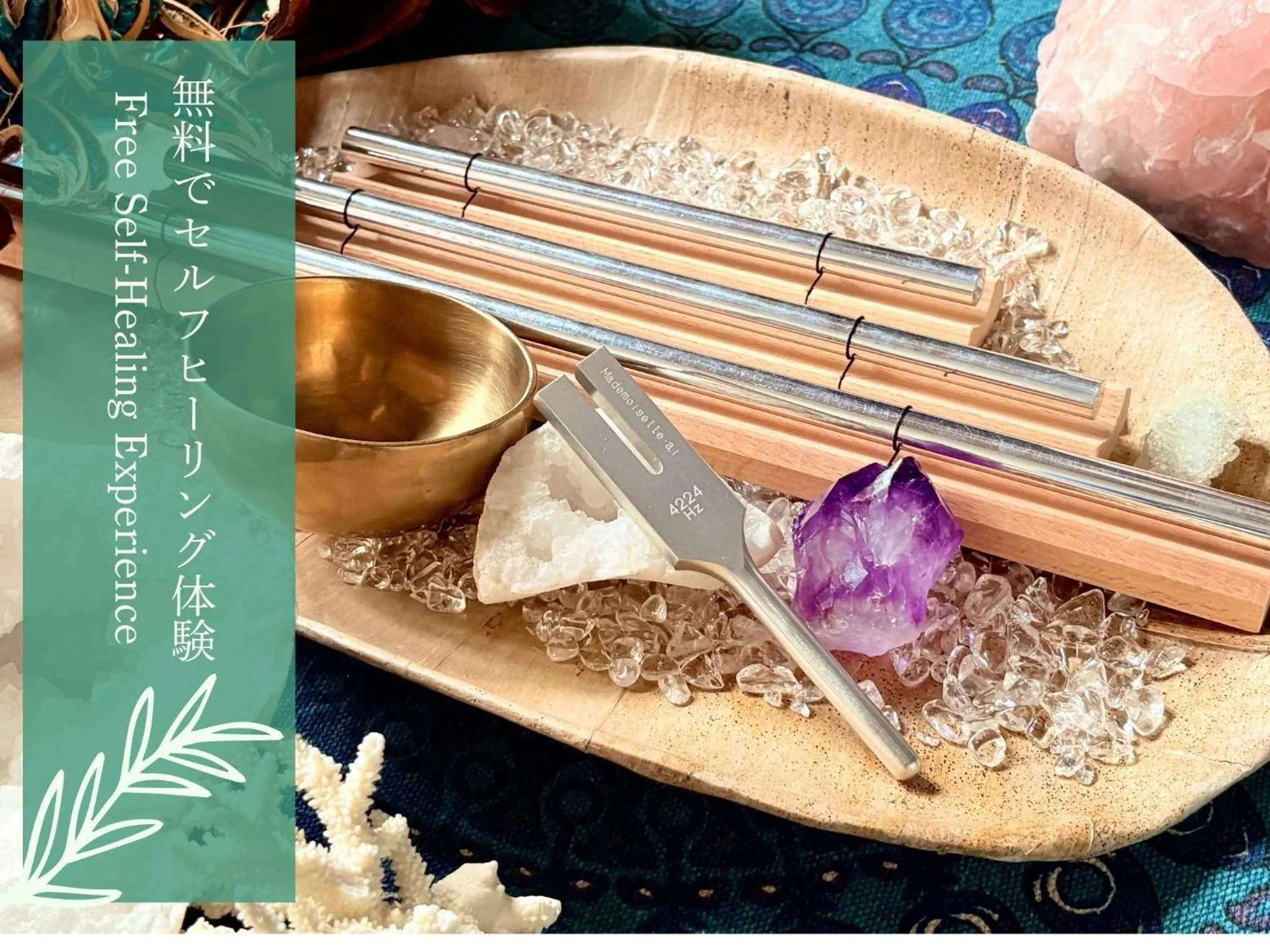 Photo of the whole room in Wellness pension Coco