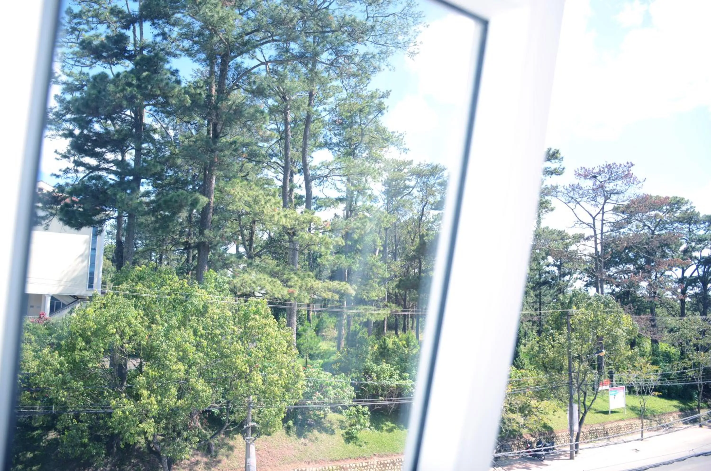 Street View Hotel & Apartment