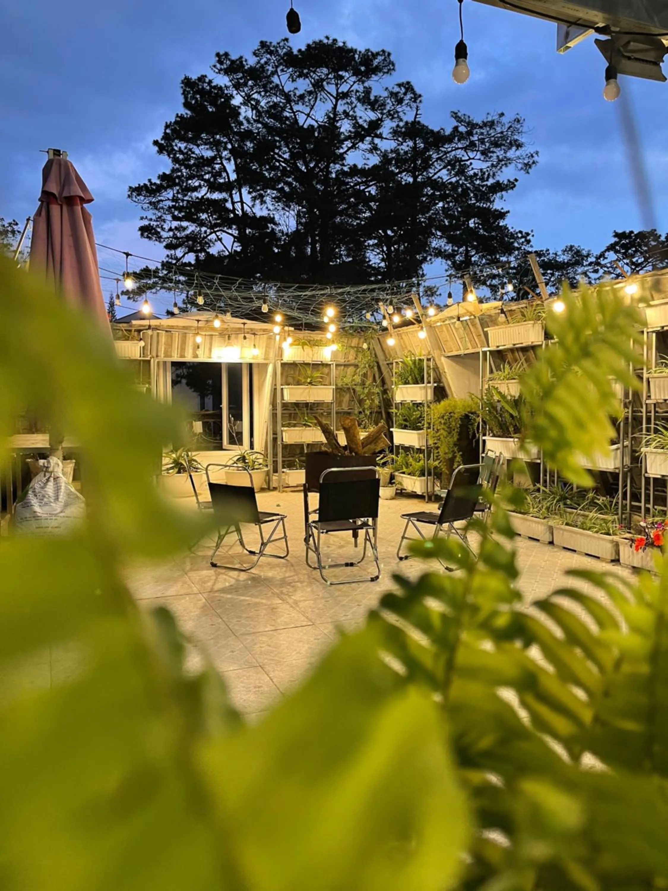 Street View Hotel & Apartment