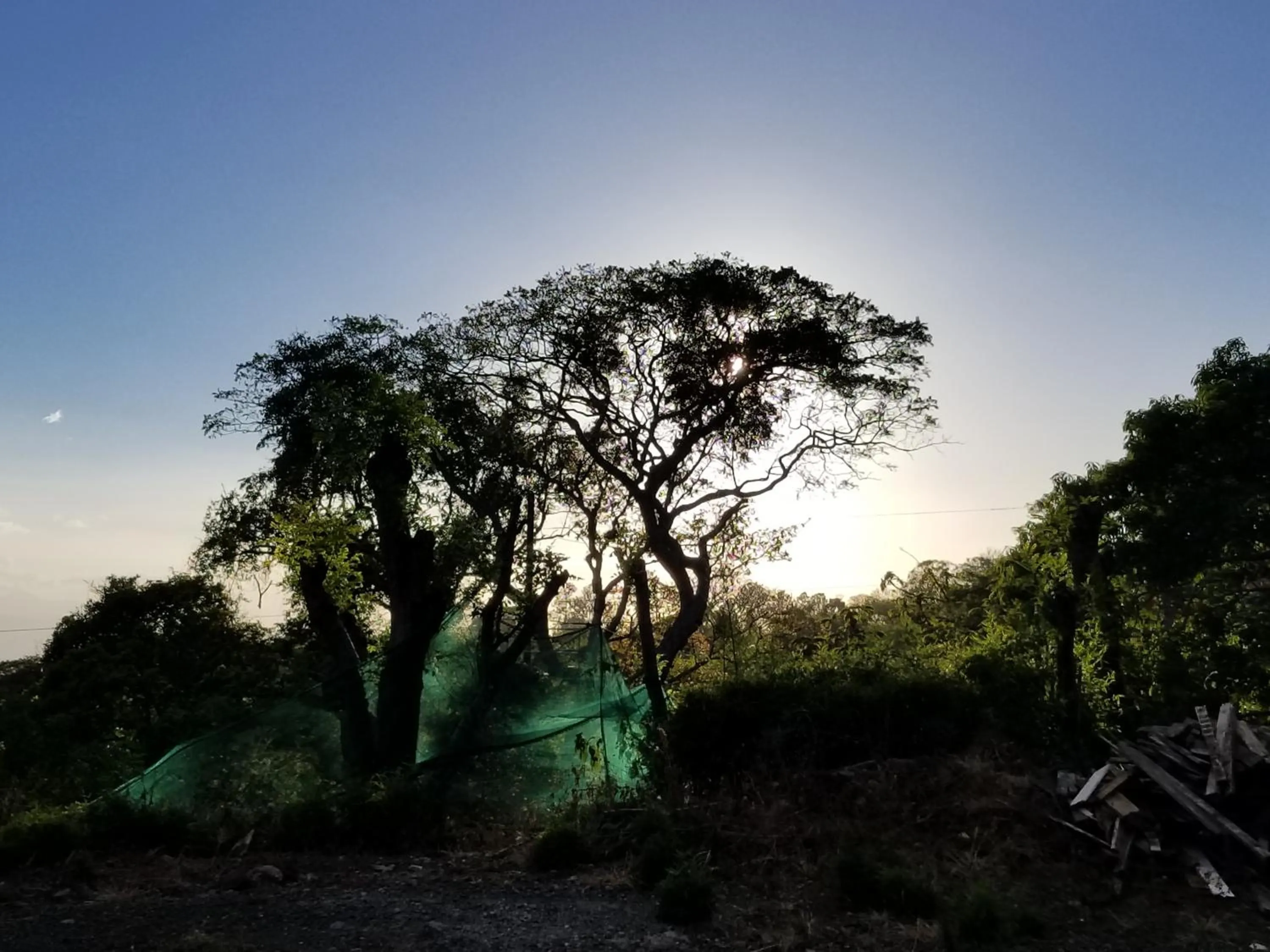 Hotel Monte Campana Heredia