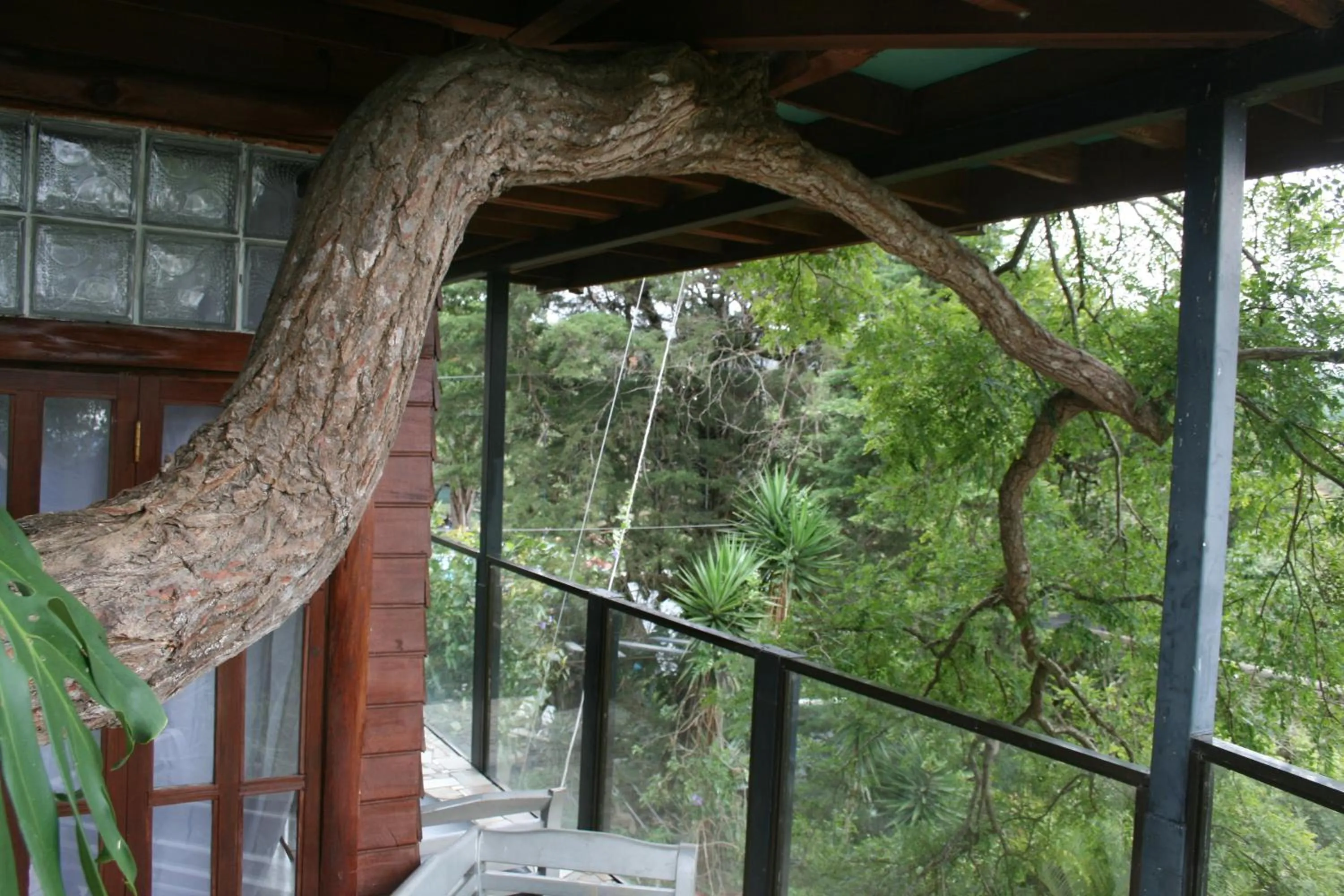 Mountain view in Hotel Monte Campana Heredia