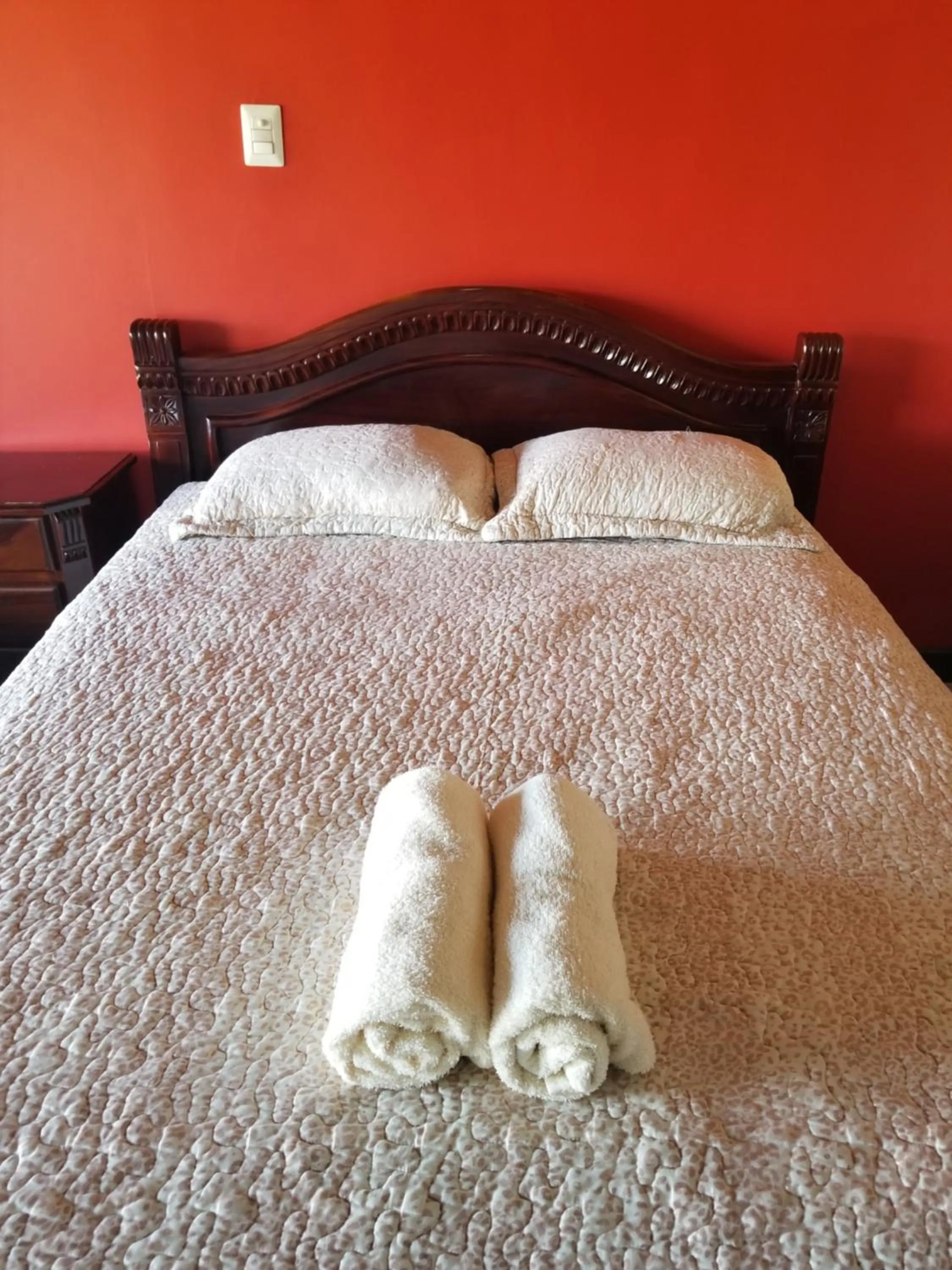 Bed in Hotel Monte Campana Heredia