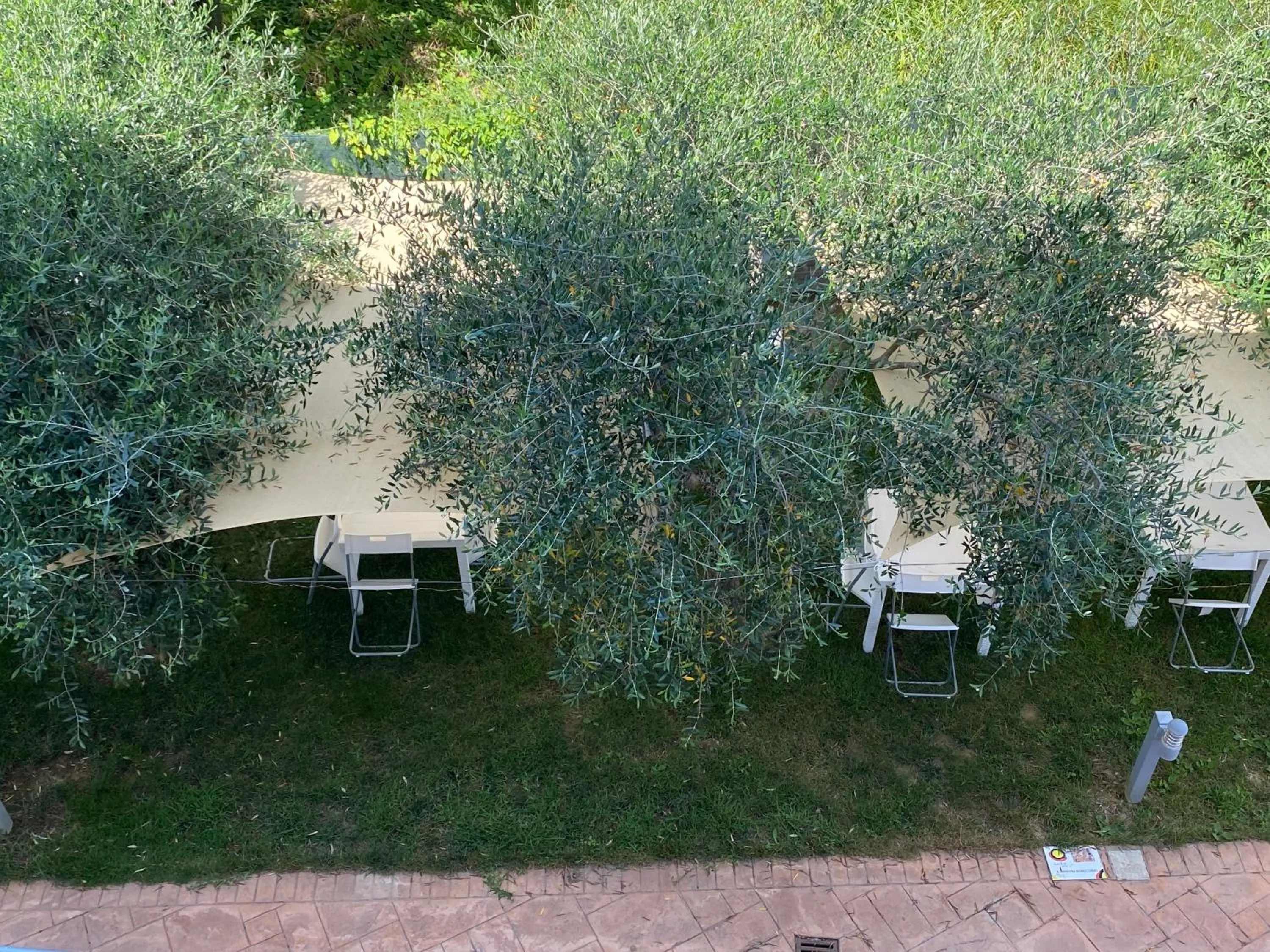 Garden in Miro' Agropoli