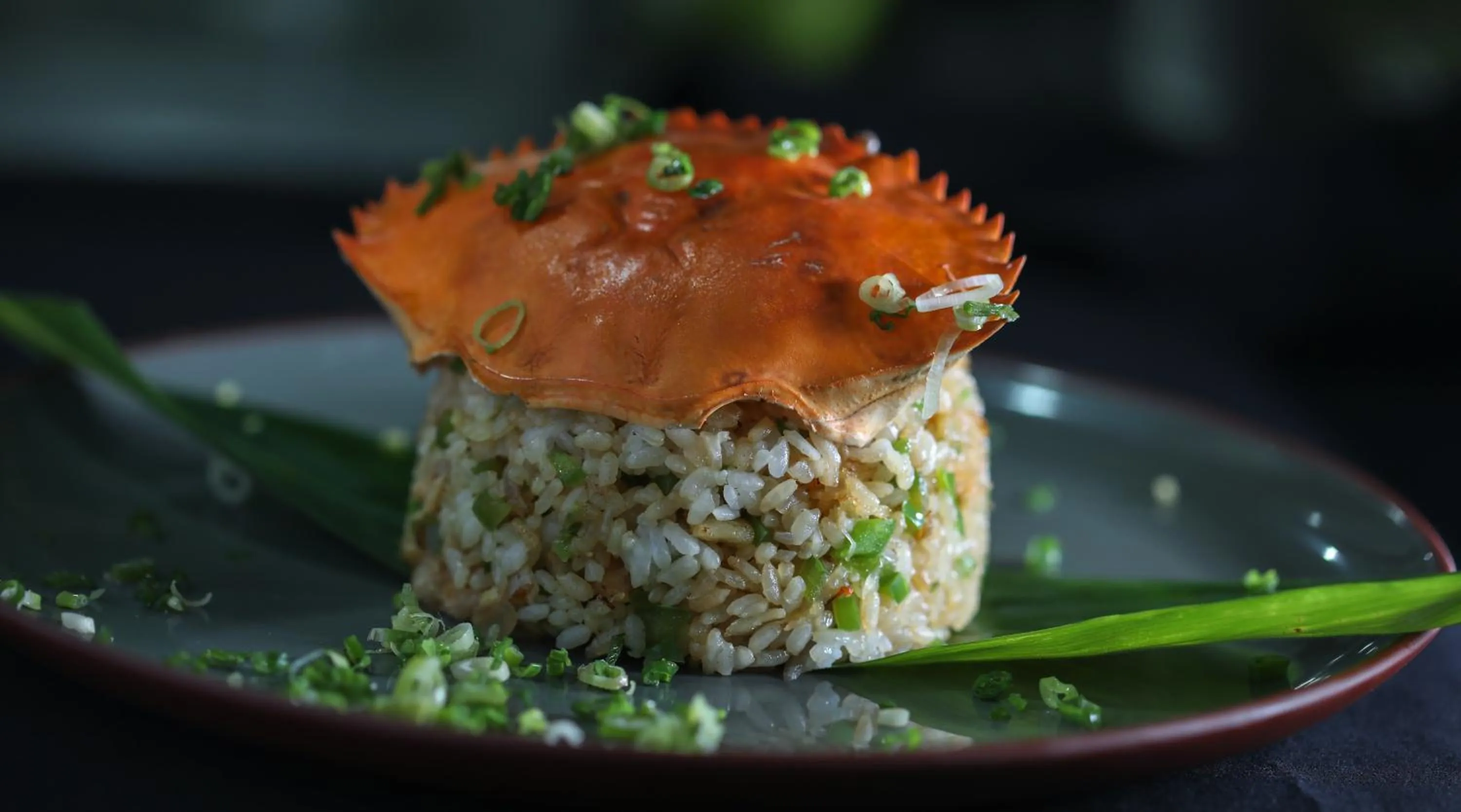 Food close-up in Riff Hikkaduwa