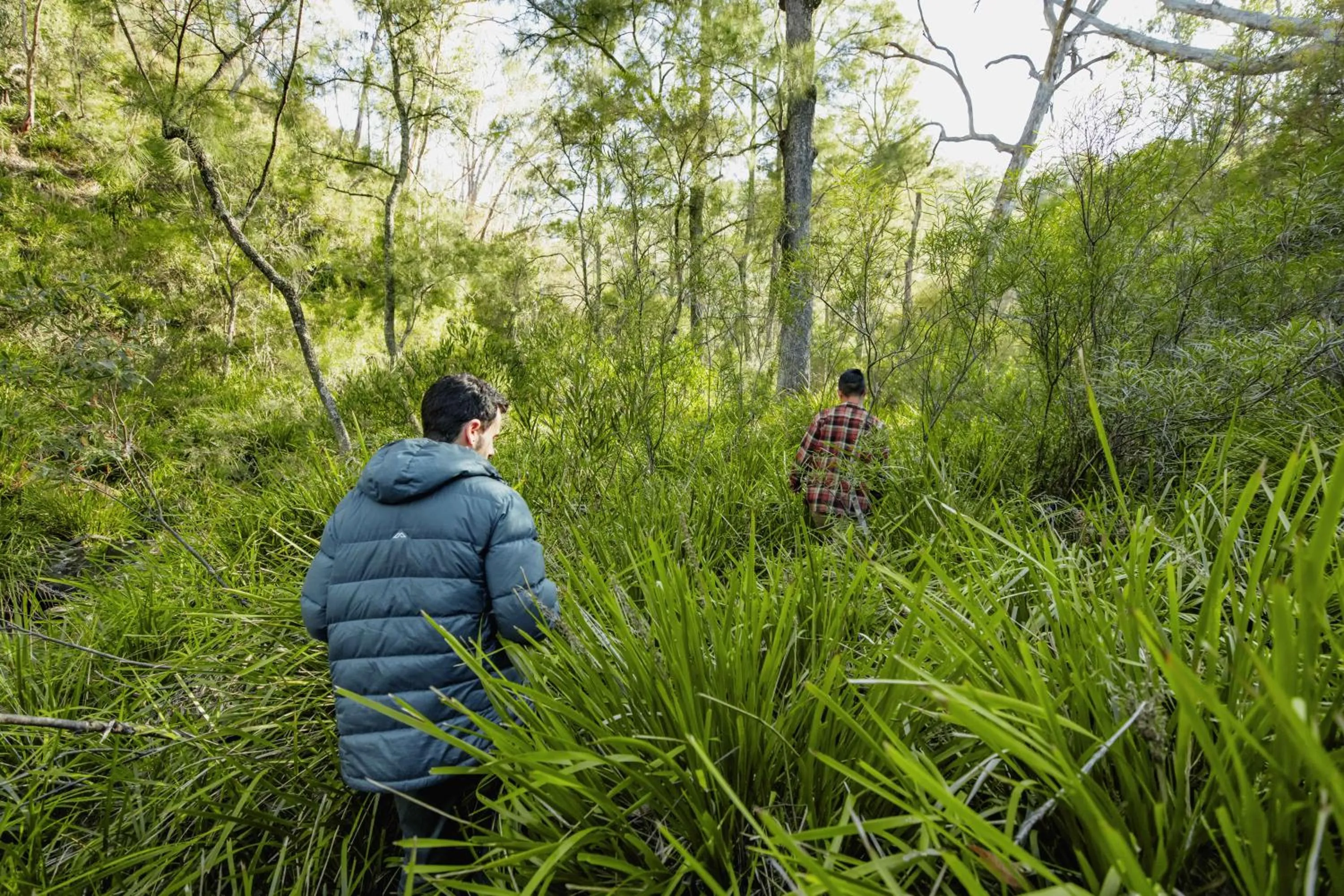 Natural landscape in Maya Sanctuary