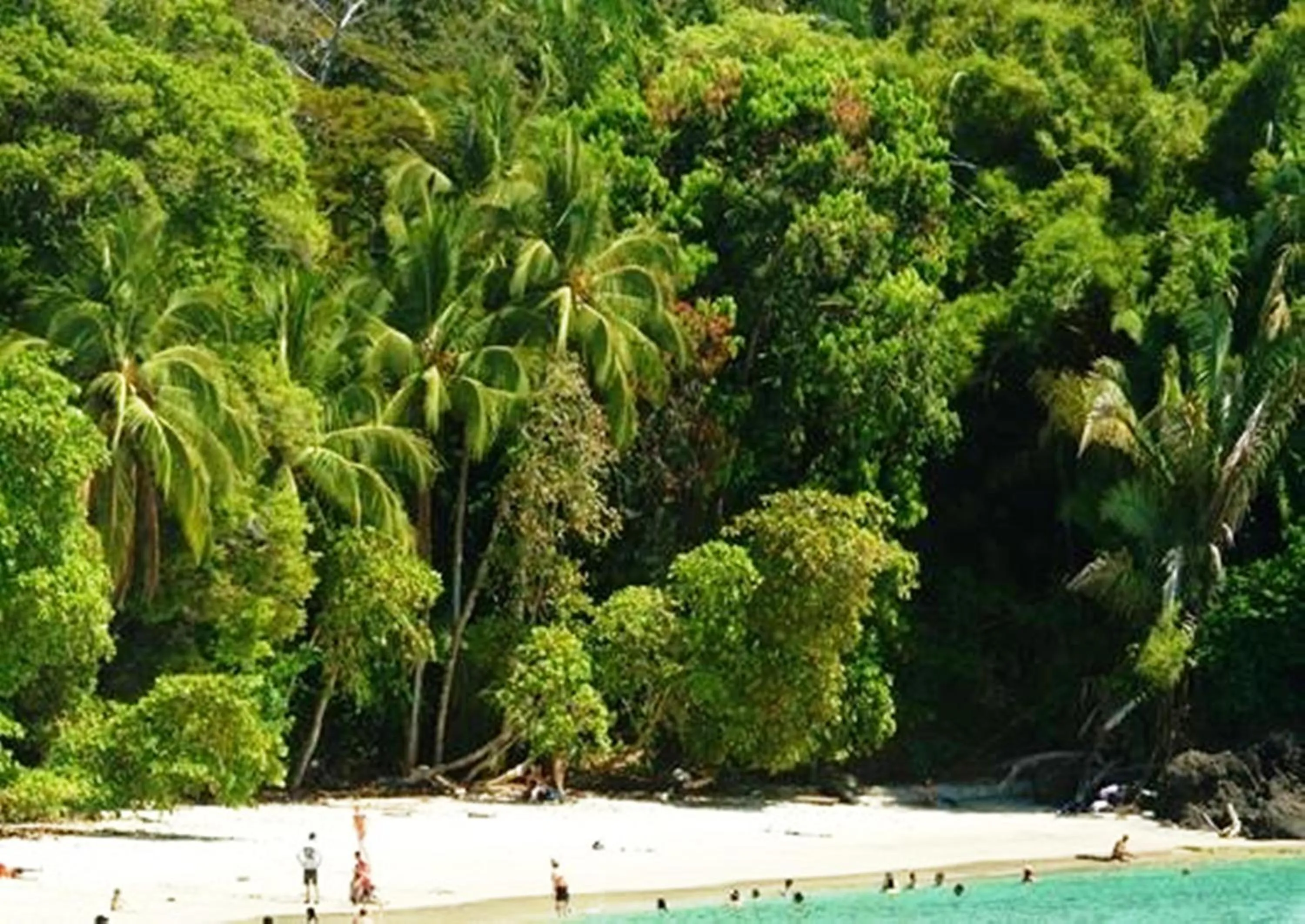 Beach in Hotel San Bada Resort & Spa