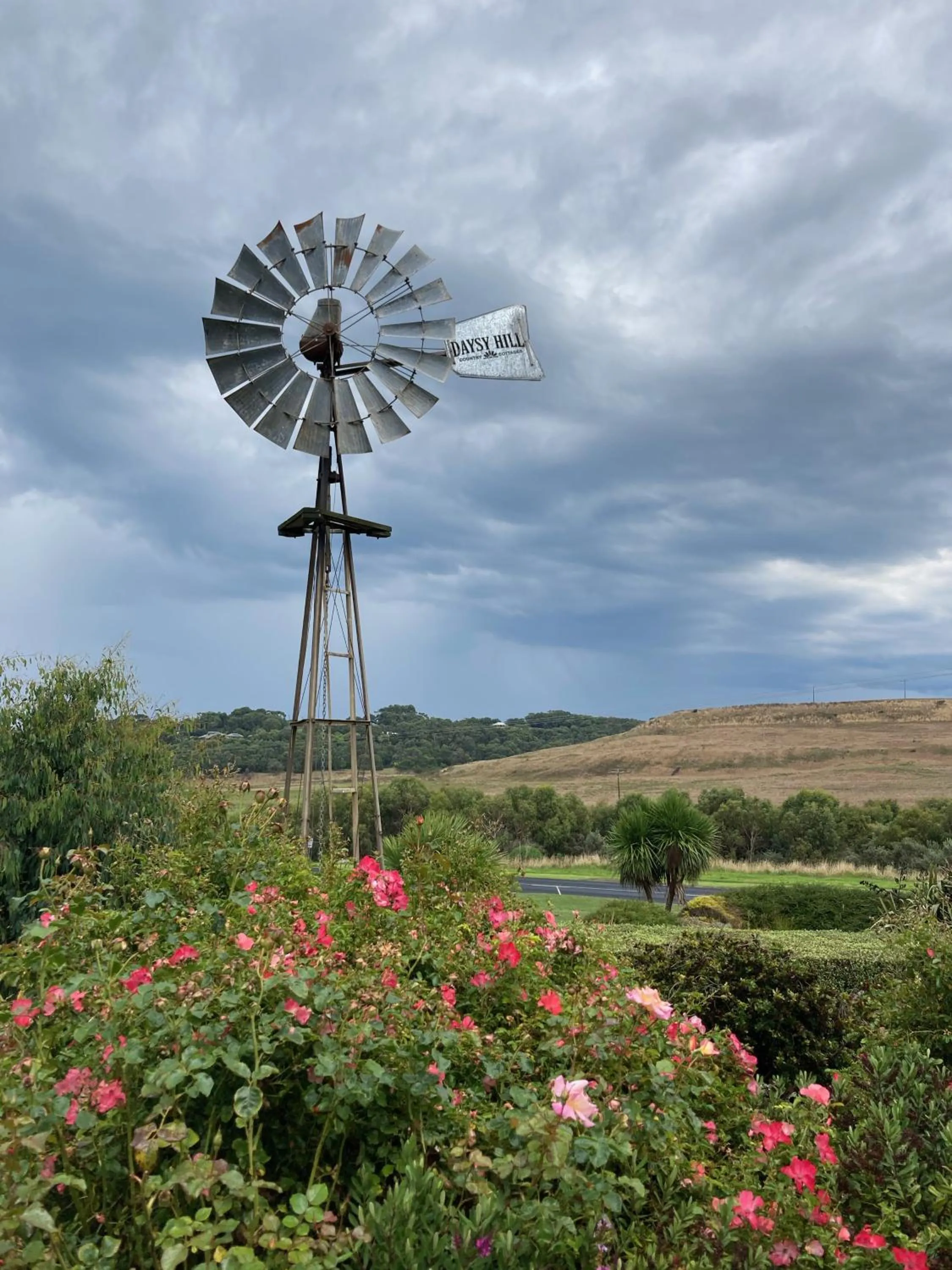 Garden in Daysy Hill Country Cottages