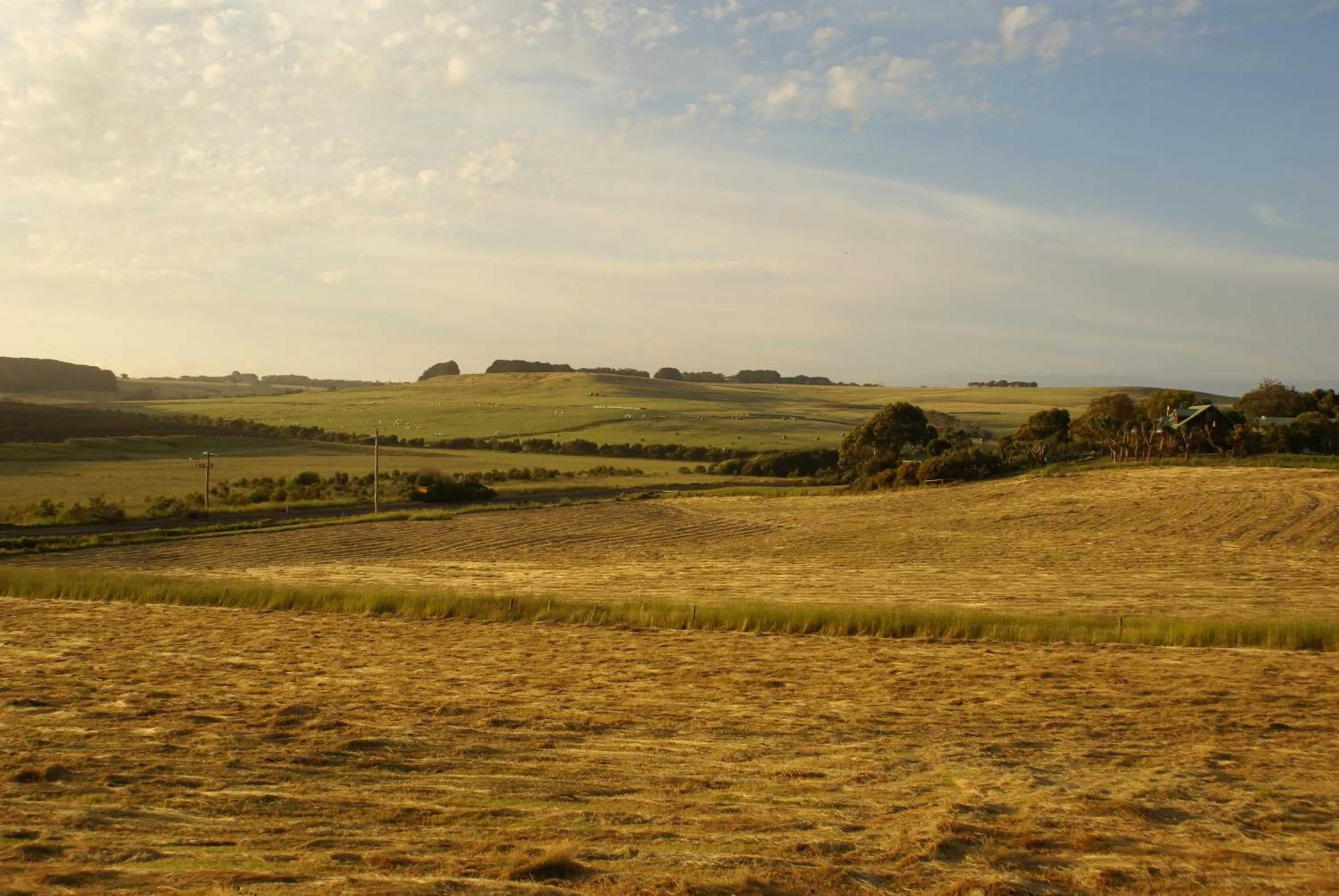 Day in Daysy Hill Country Cottages
