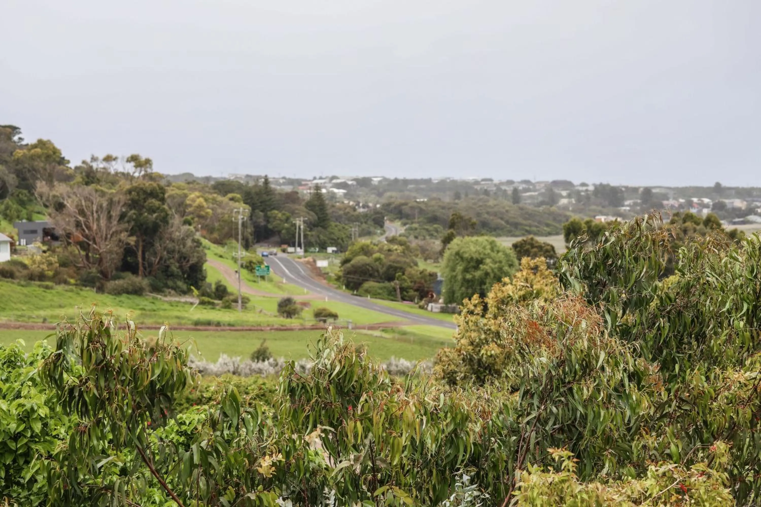 View (from property/room) in Daysy Hill Country Cottages