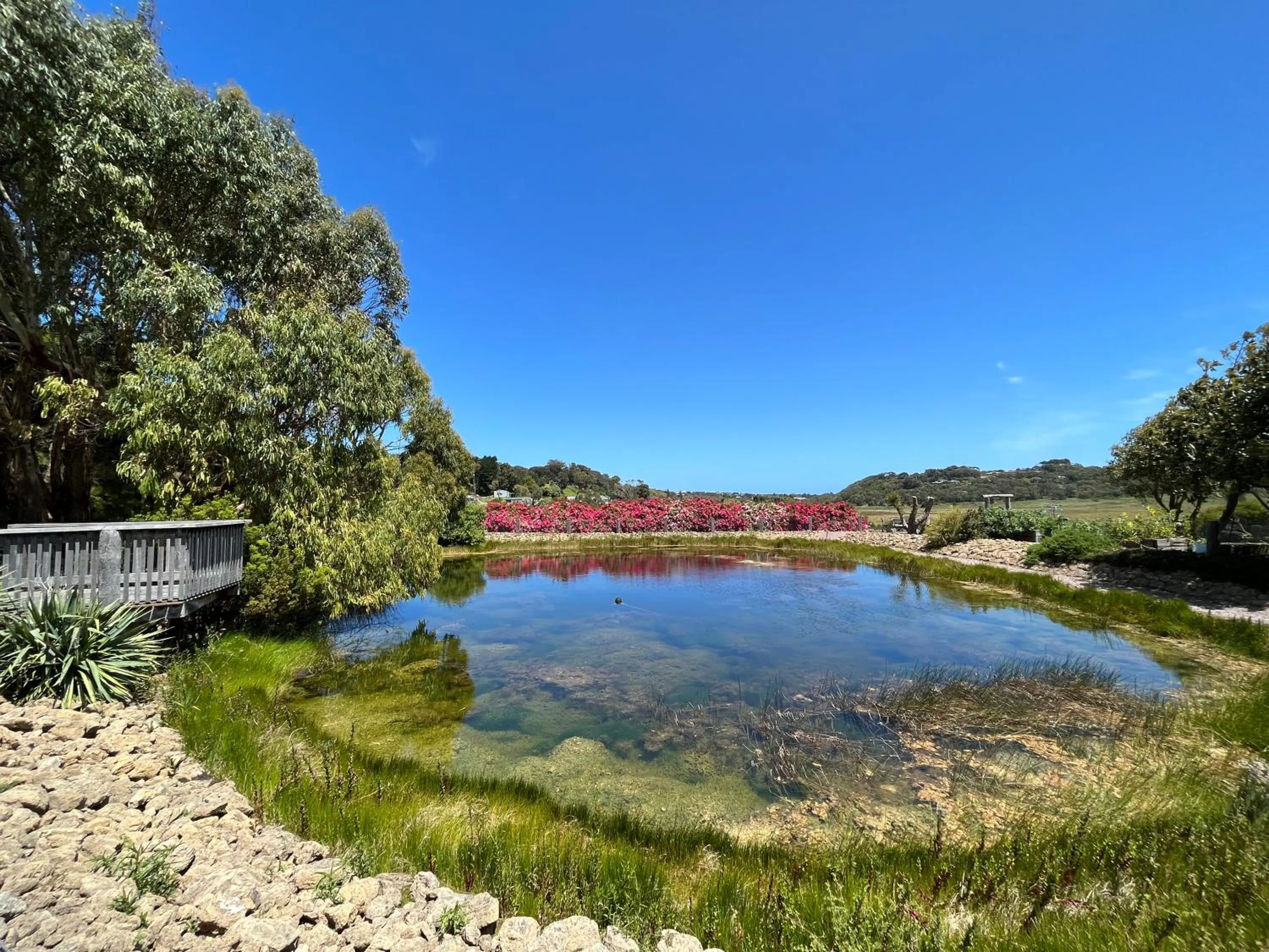 Garden in Daysy Hill Country Cottages