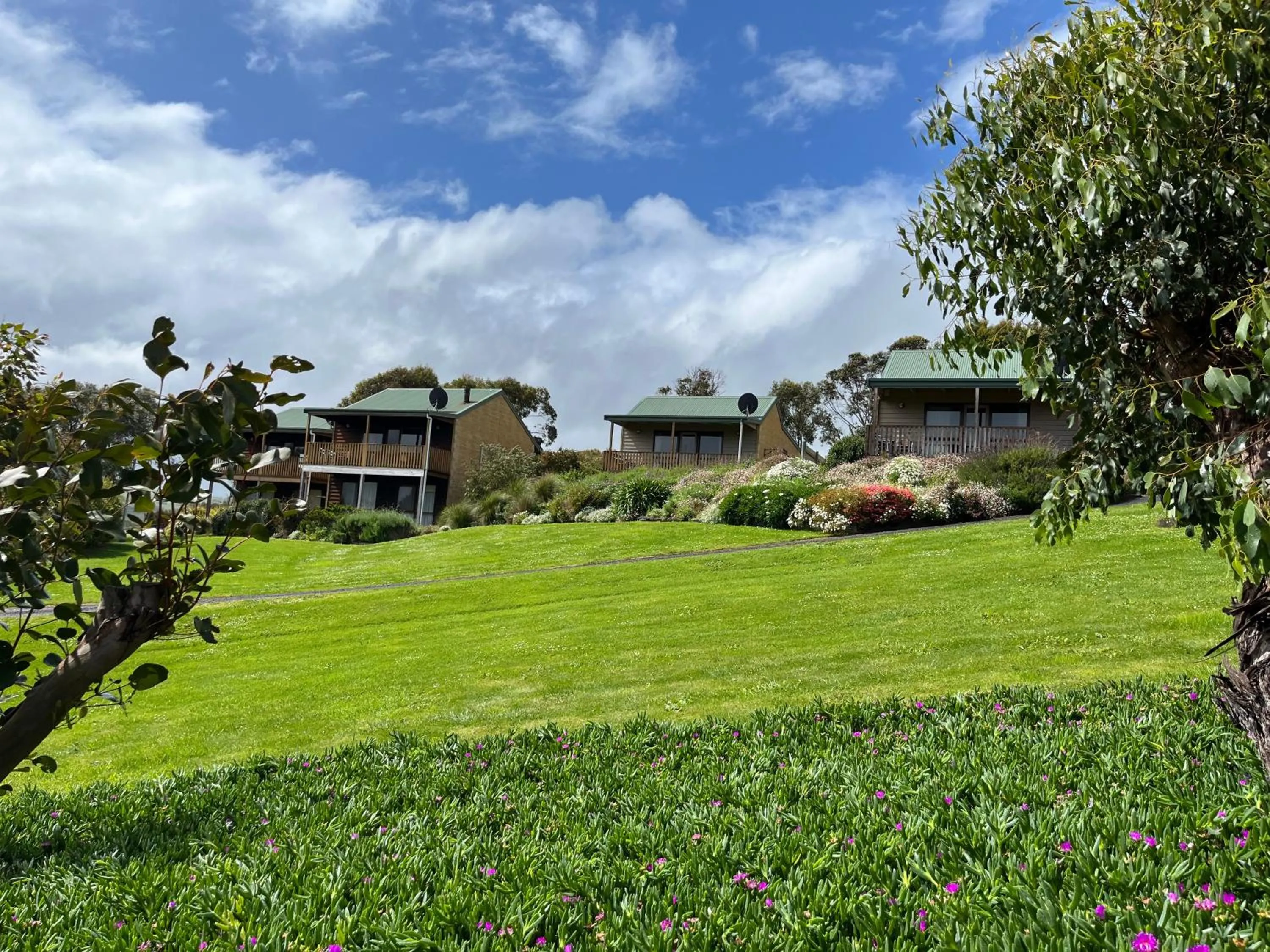 Garden view in Daysy Hill Country Cottages