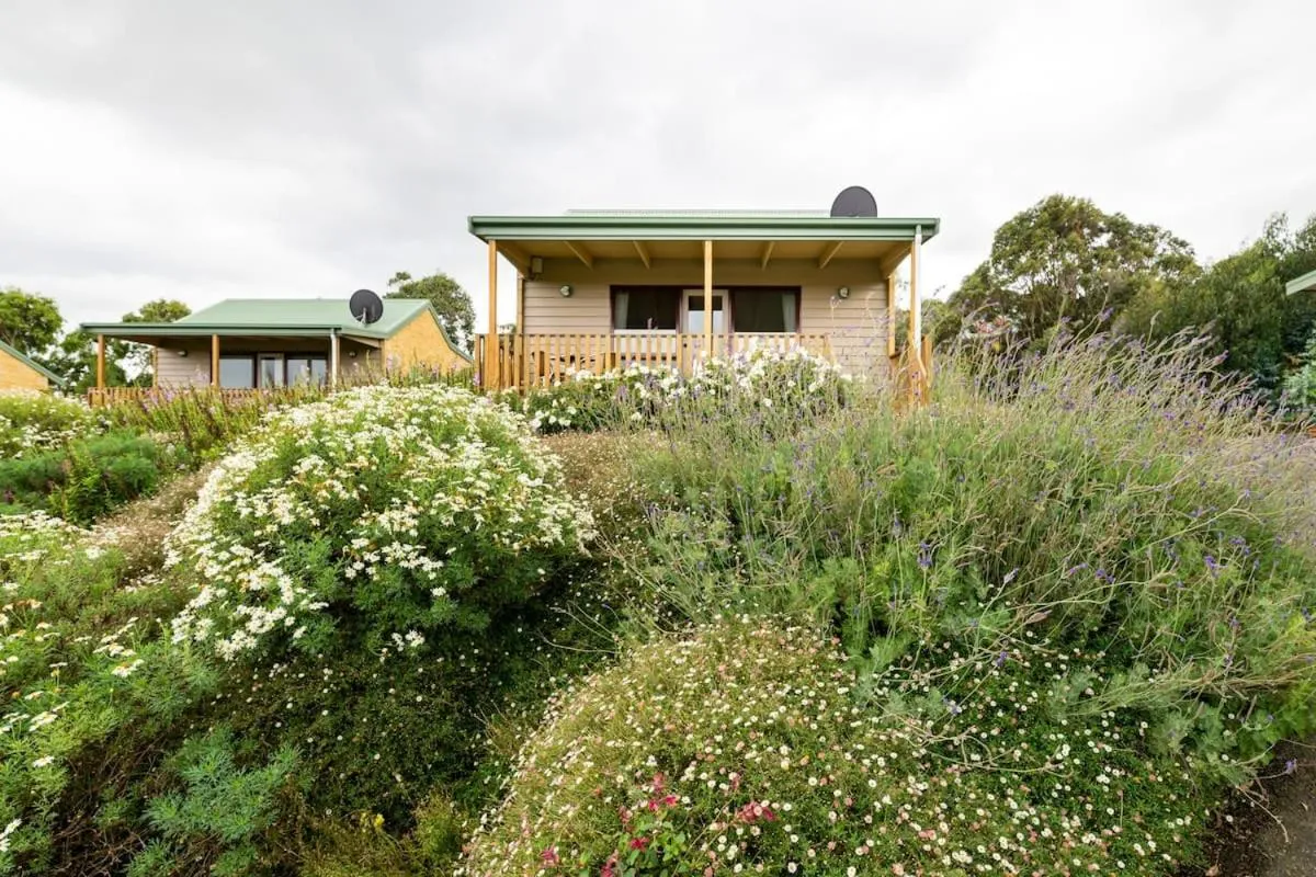 Garden view in Daysy Hill Country Cottages