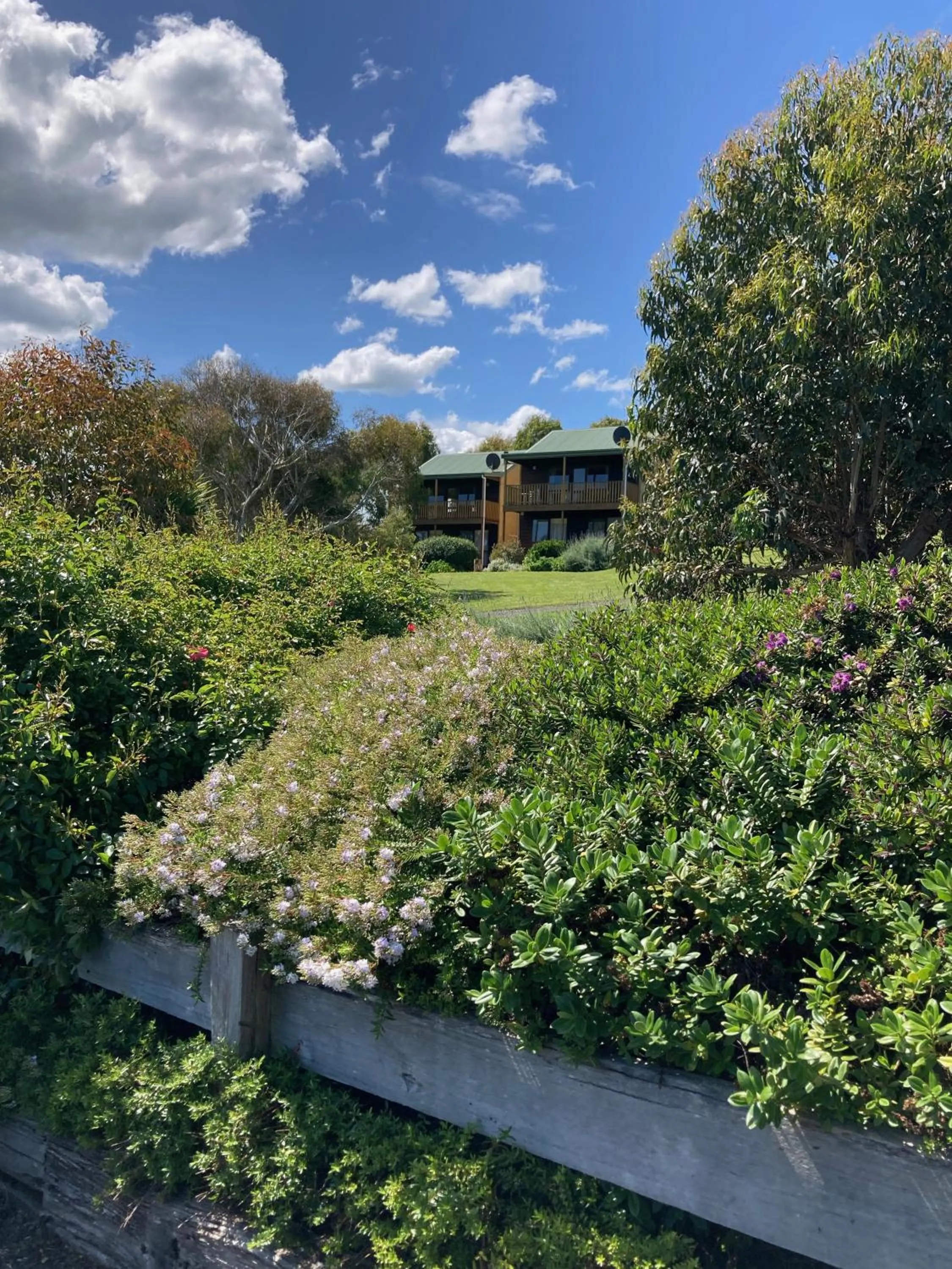 Garden in Daysy Hill Country Cottages