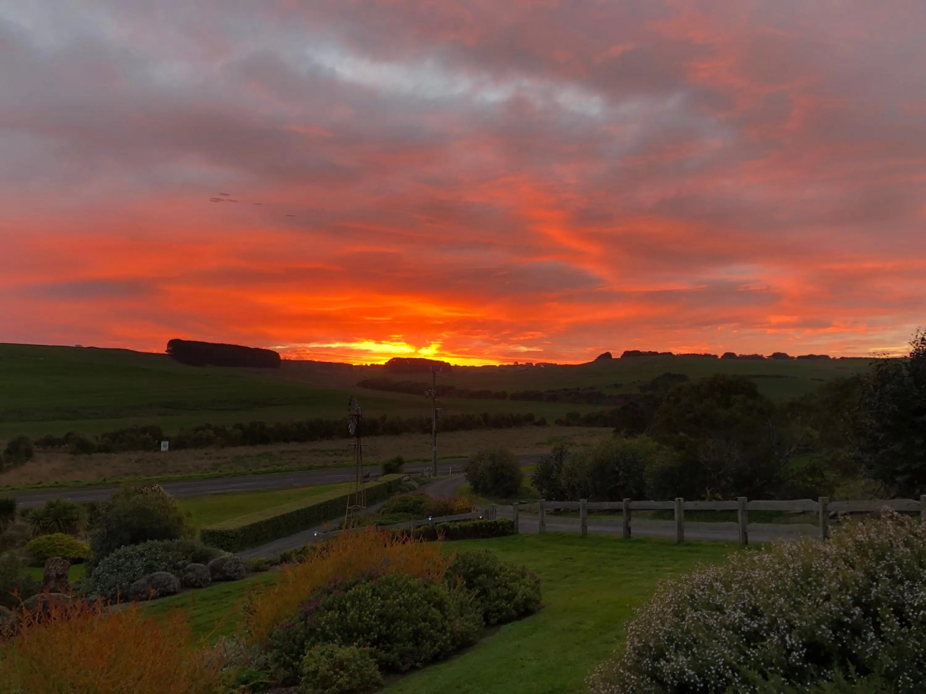 Garden view in Daysy Hill Country Cottages