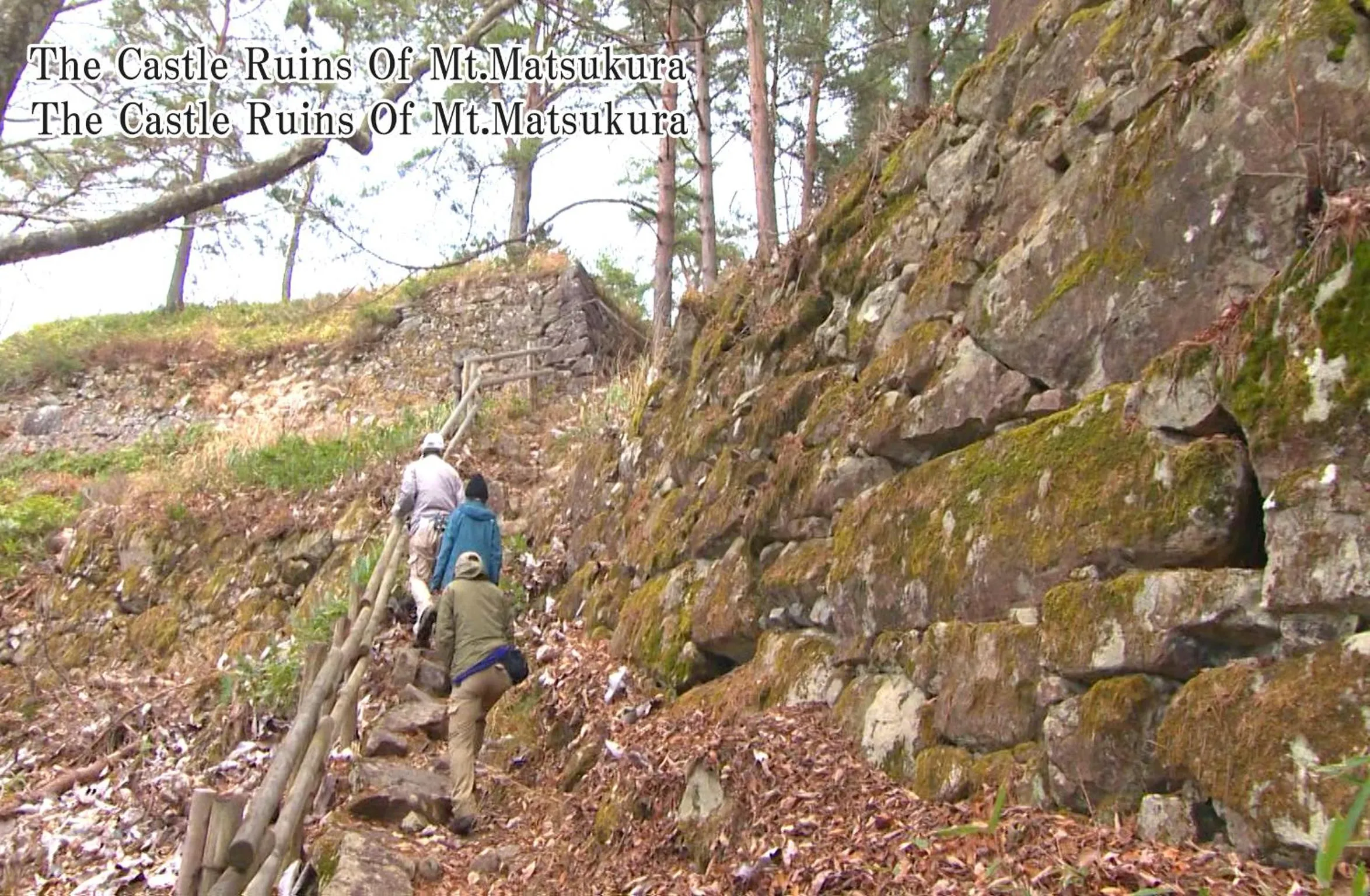 Hiking in Sakura Guest House