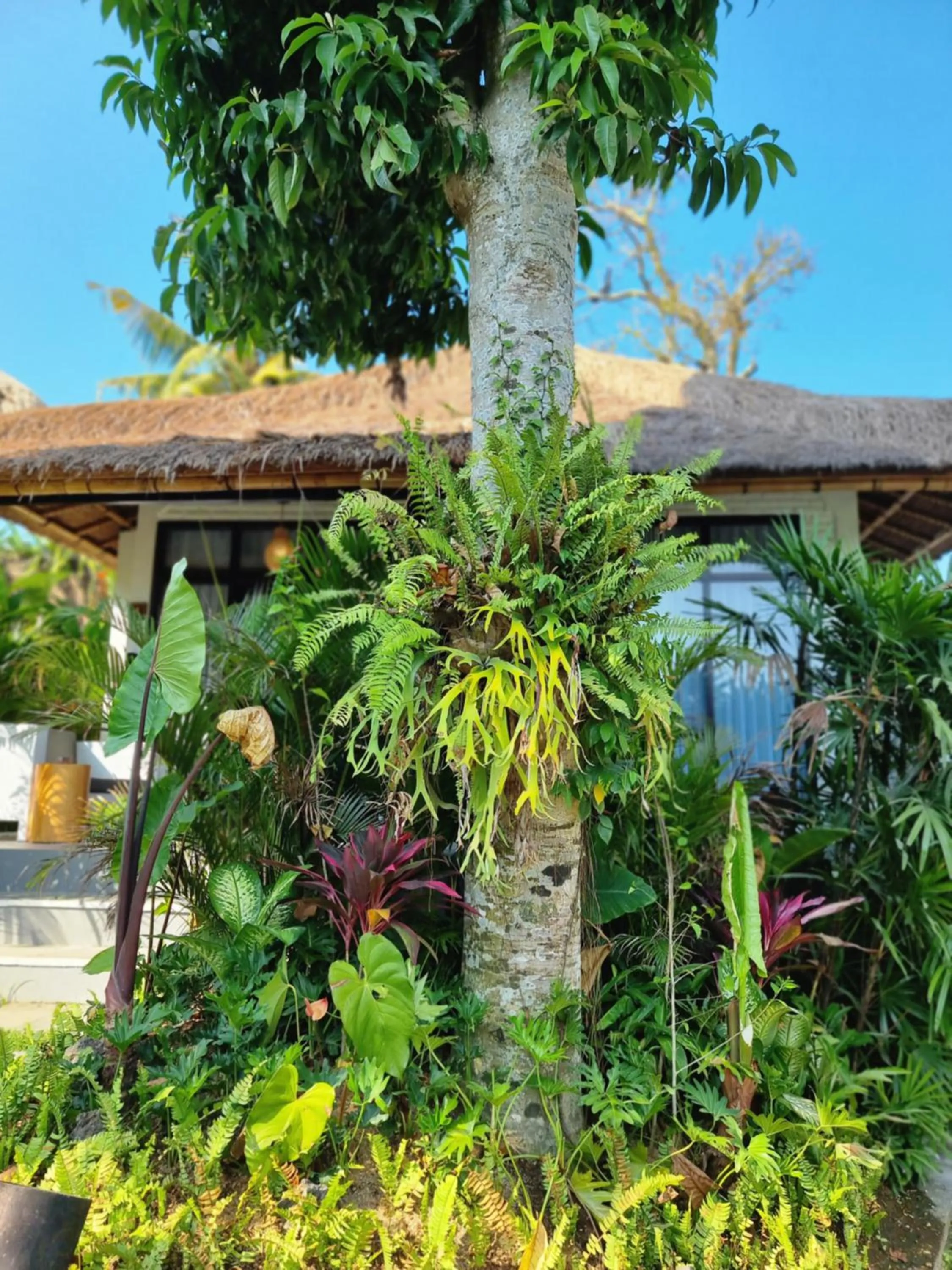 Property building in Ubud Dedari Villas